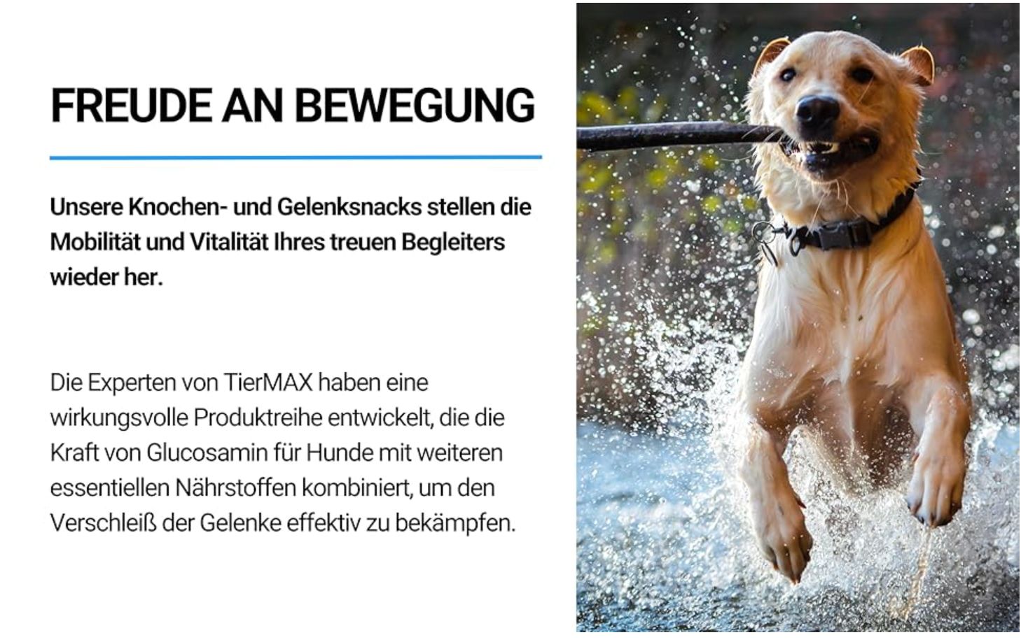 Hund springt mit Stock im Wasser. Text: Freude an Bewegung. Knochen- & Gelenksnacks stellen Mobilität und Vitalität wieder her.