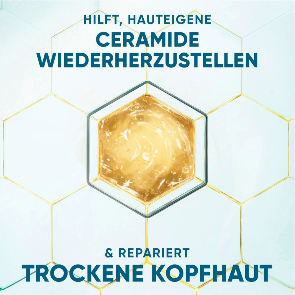 Abbildung eines gelben, sechseckigen Elements. Text: Hilft, hauteigene Ceramide wiederherzustellen & repariert trockene Kopfhaut.