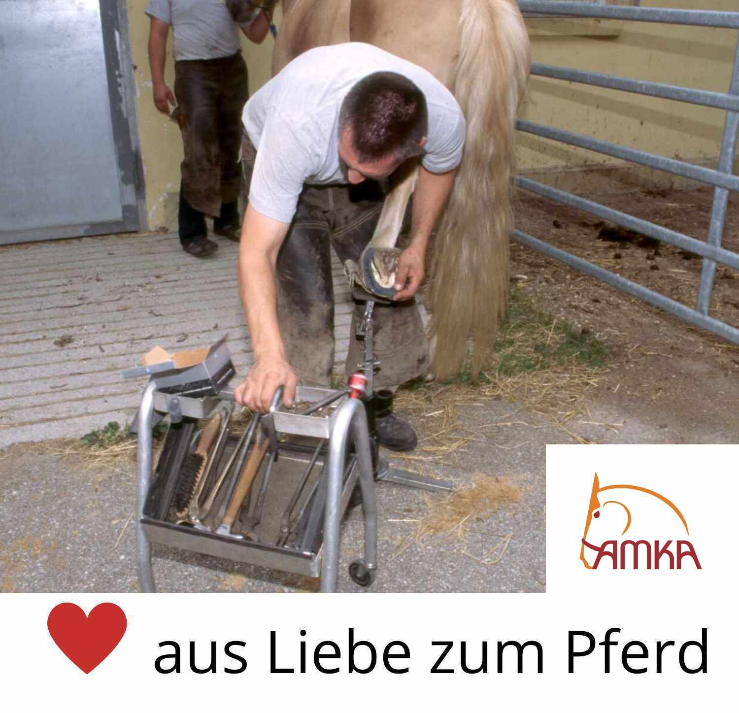 AMKA Hufbeschlagwerkzeug