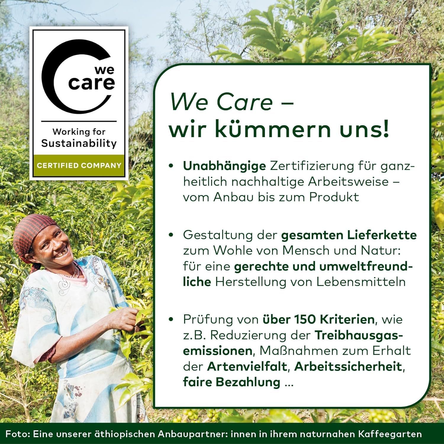 Bio Früchte-Gewürztee Ingwer und Elan