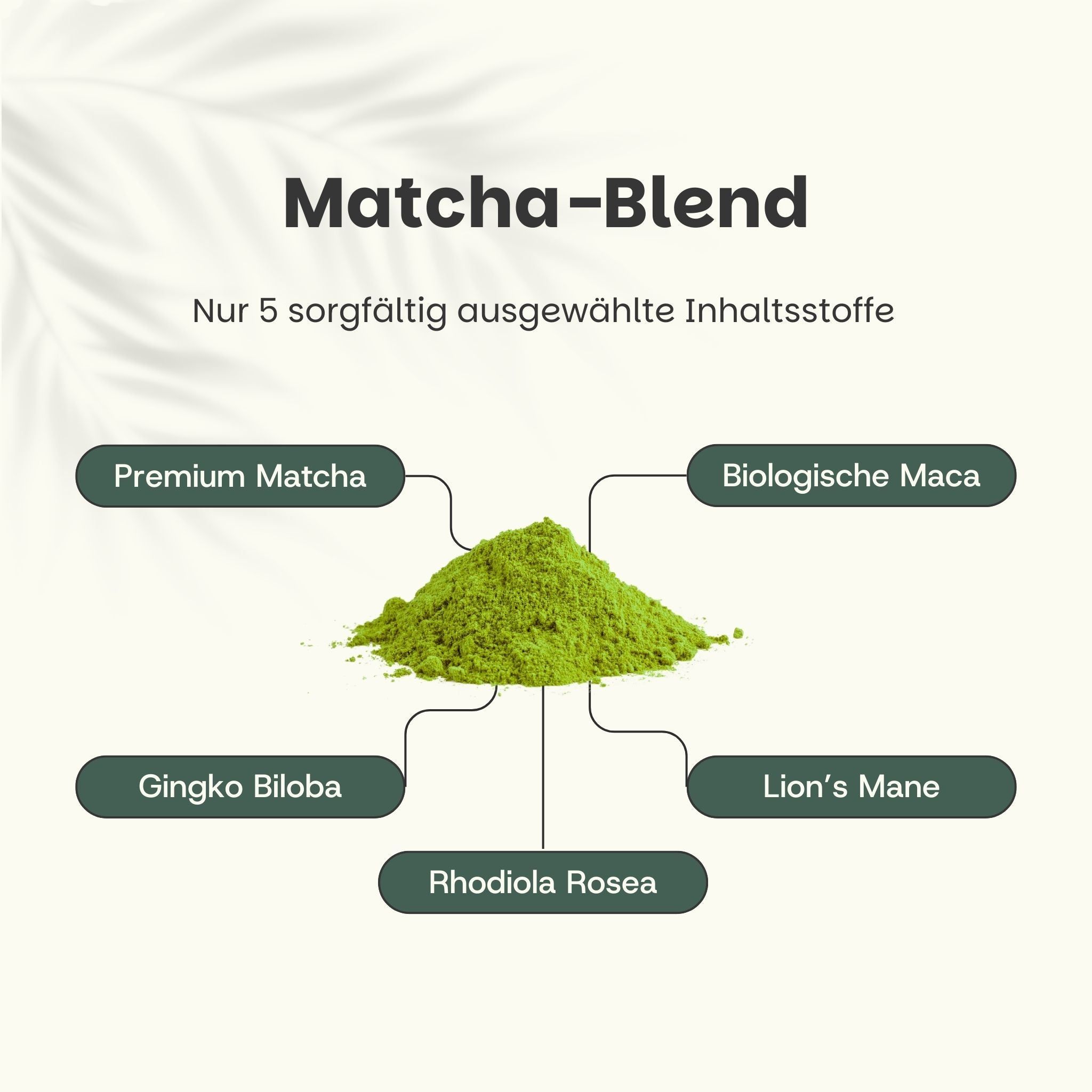 Matcha-Blend mit Premium Matcha, biologischer Maca, Ginkgo Biloba, Lion's Mane und Rhodiola Rosea. 5 sorgfältig ausgewählte Inhaltsstoffe.