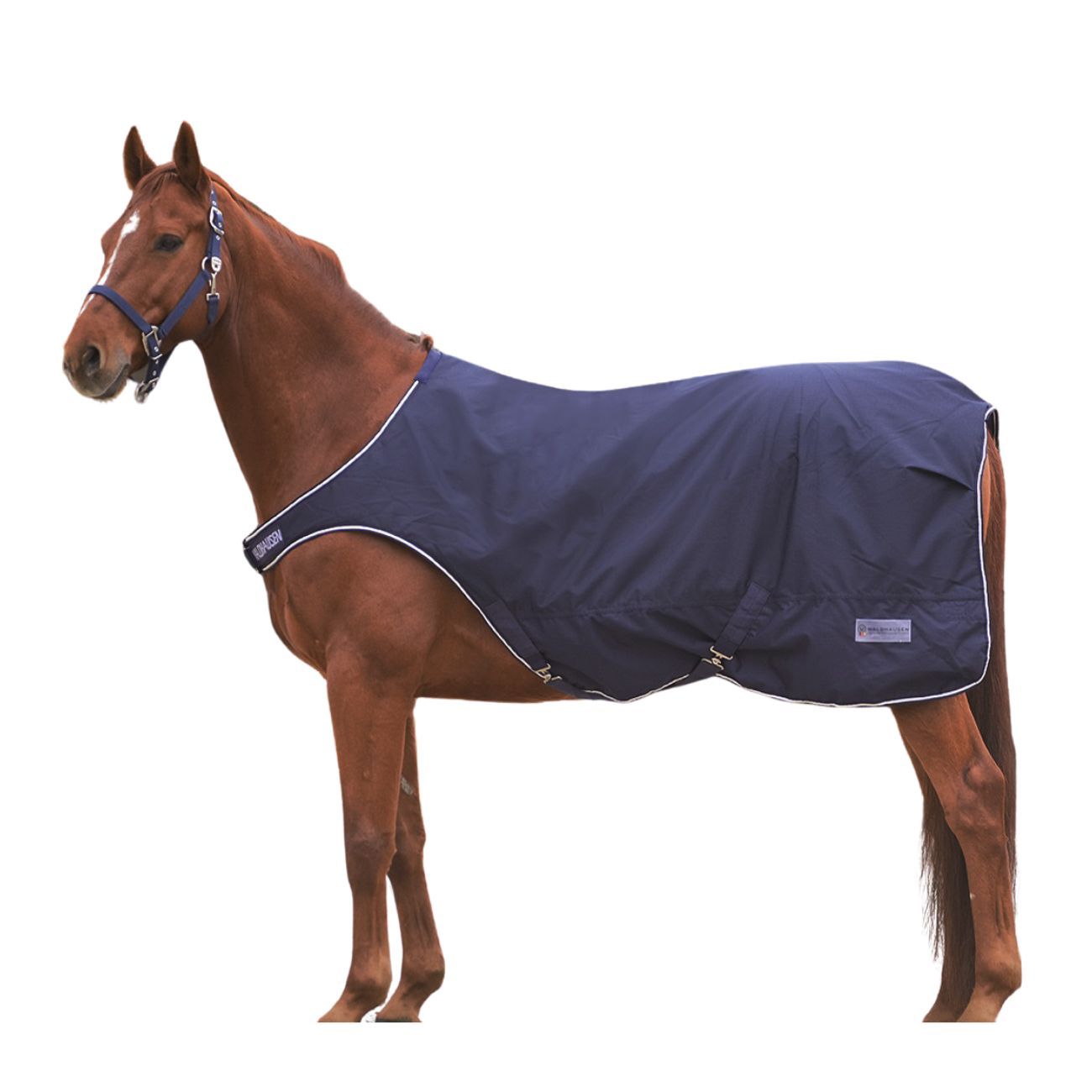 Braunes Pferd mit blauer Decke. Weiße Kontrastnähte. Logo.