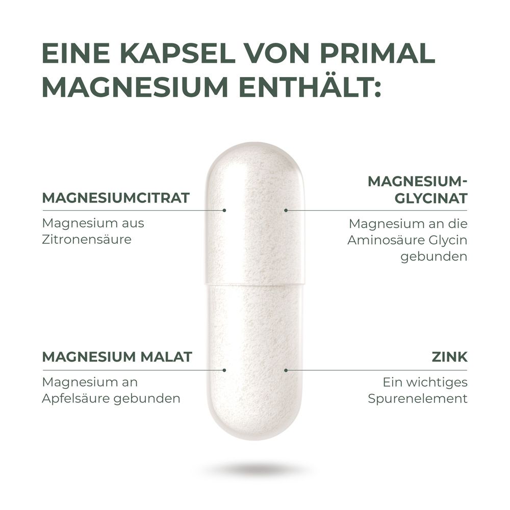 Nahaufnahme einer weißen Kapsel. Beschriftung: Magnesiumcitrat, Magnesiumglycinat, Magnesiummalat, Zink. Details zu den Inhaltsstoffen.