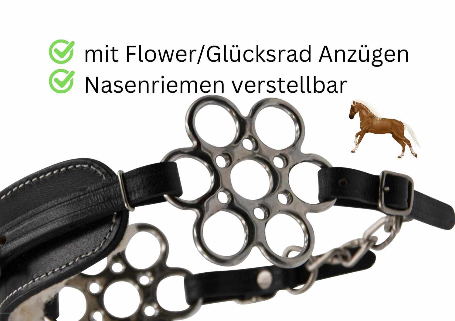 Hackamore Flora. Schwarzes Leder, silberfarbene Metallteile. Text: mit Flower/Glücksrad Anzügen, Nasenriemen verstellbar.