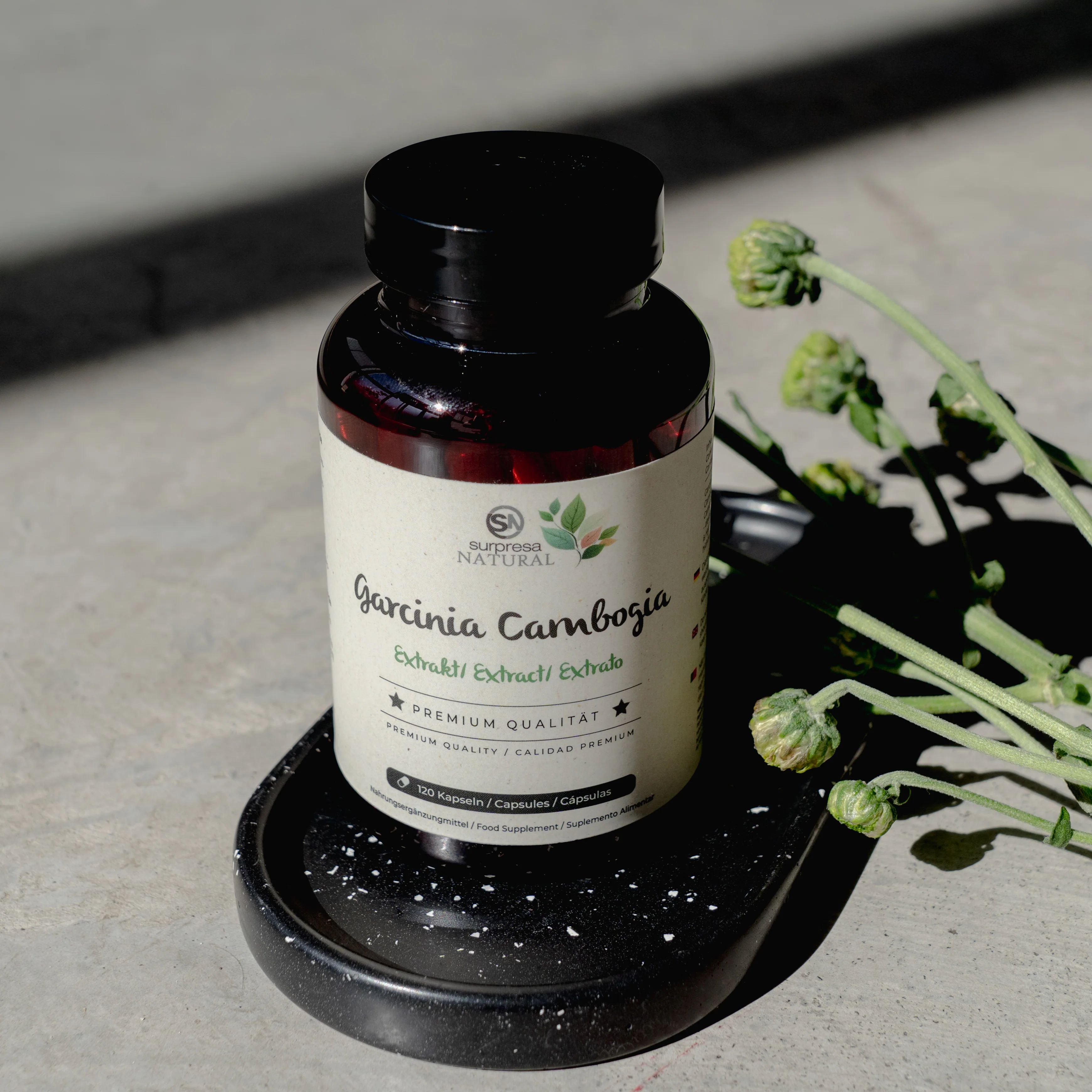 Braune Flasche mit schwarzem Deckel auf schwarzem Tablett. Aufschrift: Garcinia Cambogia Extrakt. Premium Qualität. Grüne Blüten.