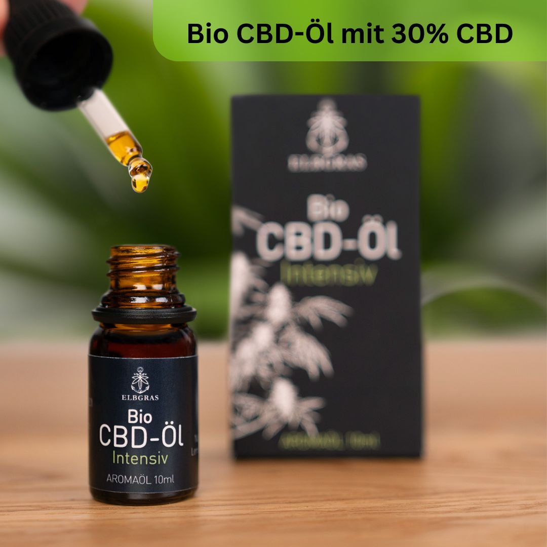 Tropfen Elbgras Bio CBD Öl Intensiv 30% werden mit Pipette aus Flasche entnommen.