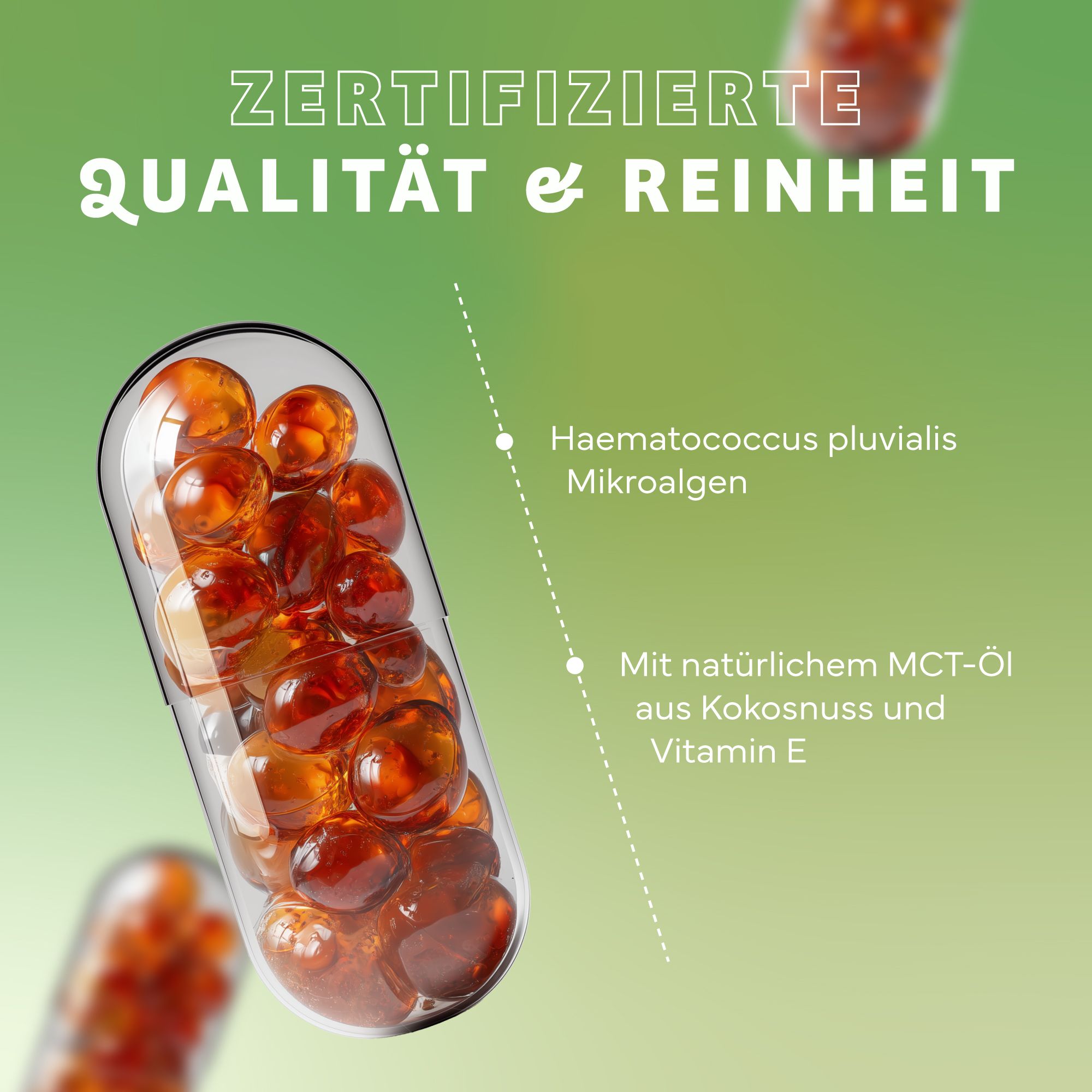 Kapsel mit Astaxanthin-Kügelchen. Aufschrift: Zertifizierte Qualität & Reinheit. Mit natürlichem MCT-Öl aus Kokosnuss und Vitamin E. Mikroalgen.