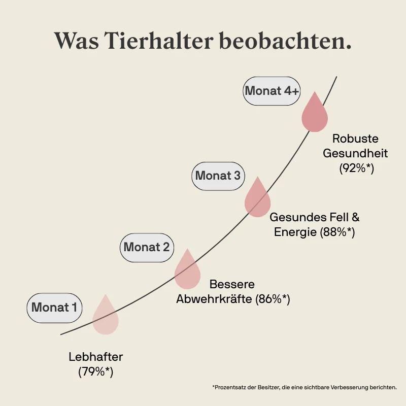 Grafik zeigt positive Effekte von Stylla Resilience über Monate.