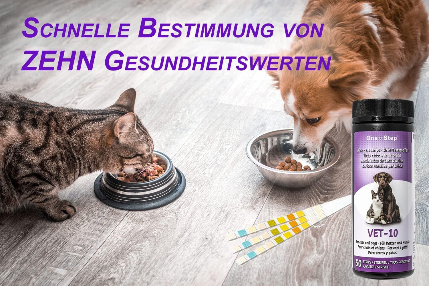 One+Step Urin Teststreifen für Hunde und Katzen - Schnelltest zur Prüfung von 10 Gesundheitswerten