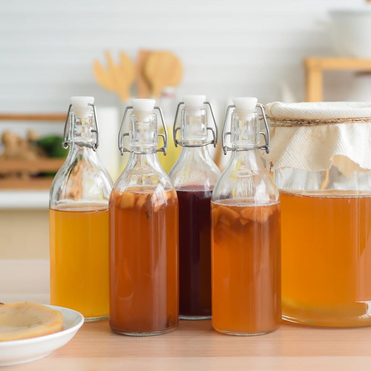 WELLNESS-DRINKS Bio-Kombucha mit lebendem Kombucha-Pilz (SCOBY)