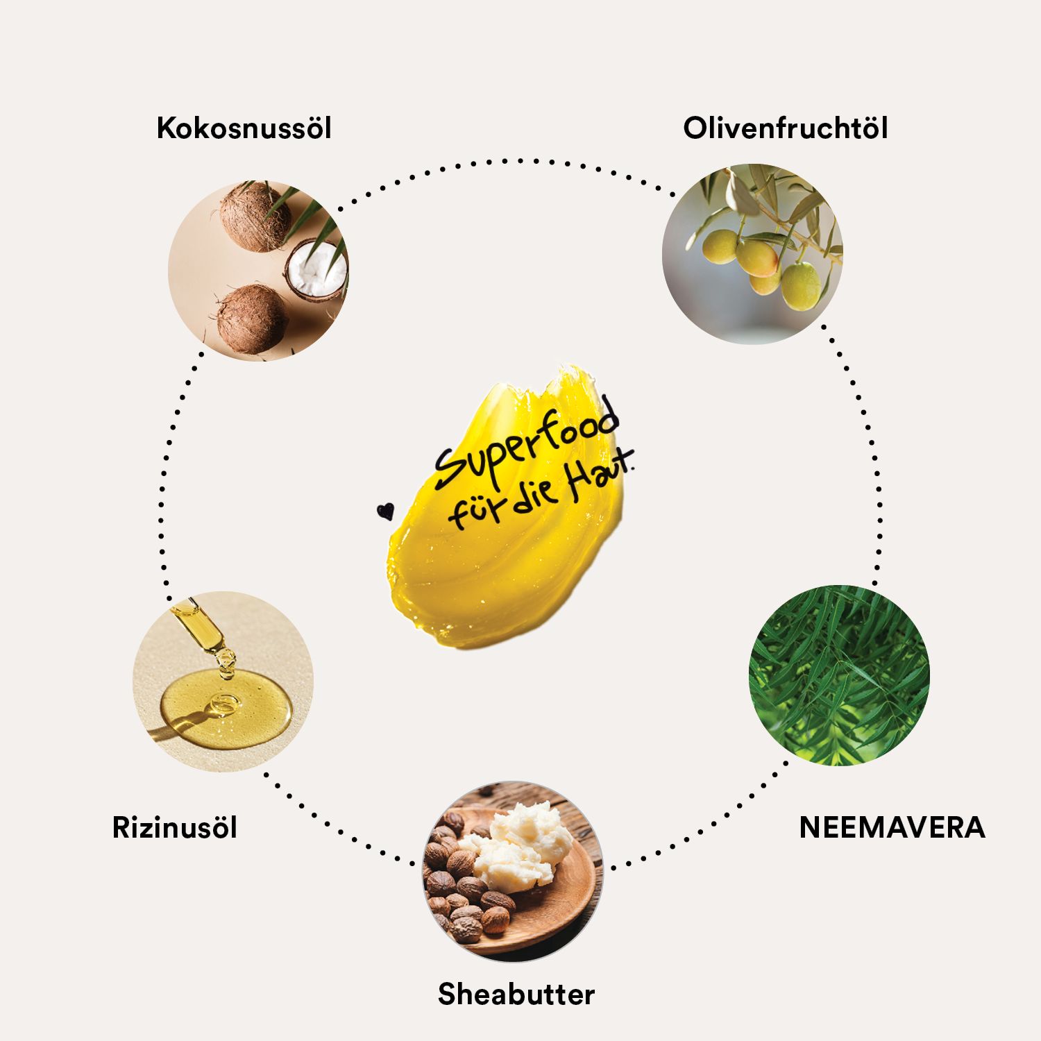 Kreisförmige Anordnung von Kokosnussöl, Olivenfruchtöl, Rizinusöl, Sheabutter und Neem.