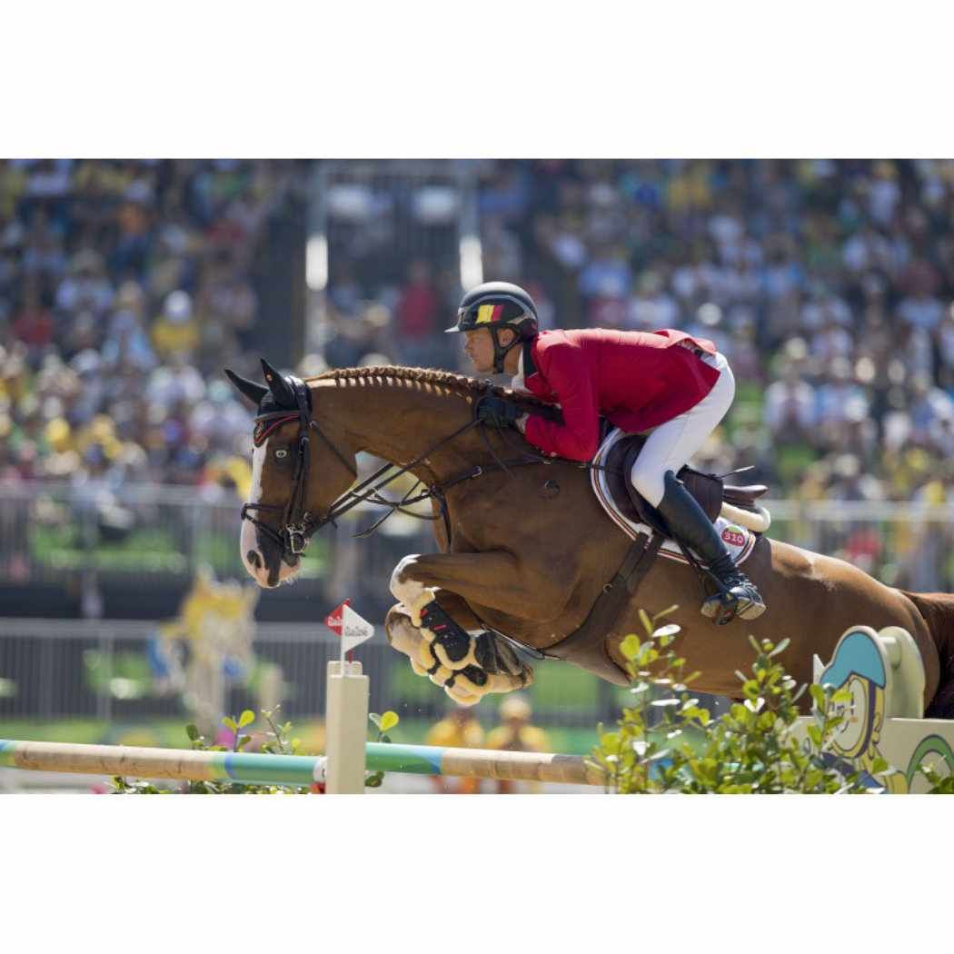 Ein Reiter auf einem Pferd springt über ein Hindernis. Der Hintergrund ist ein Publikum.