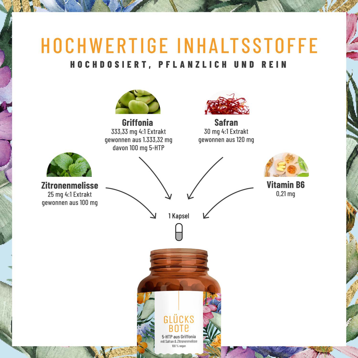 Schema der Inhaltsstoffe: Griffonia, Safran, Zitronenmelisse, Vitamin B6 für eine Kapsel.