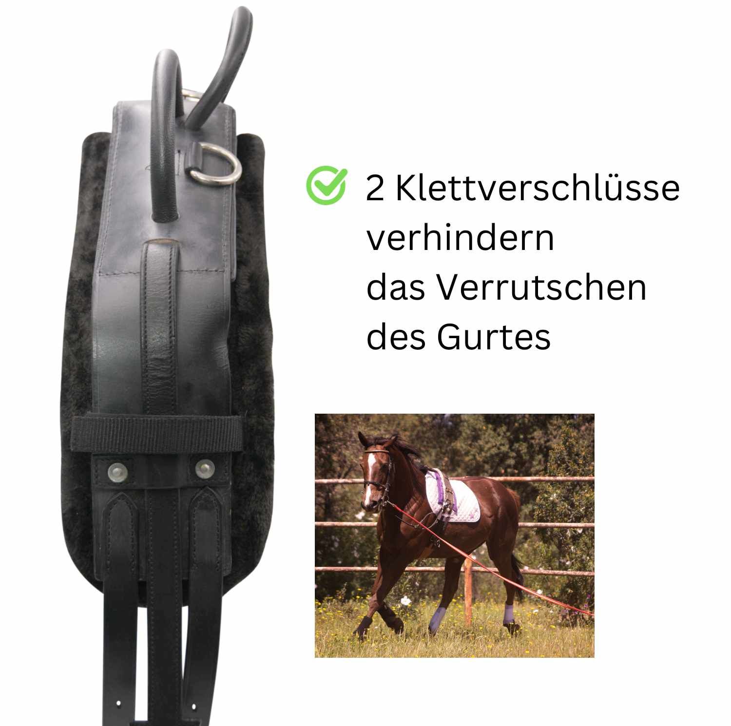 Schwarzer Longiergurt mit Klettverschlüssen. Text: 2 Klettverschlüsse verhindern das Verrutschen des Gurtes.