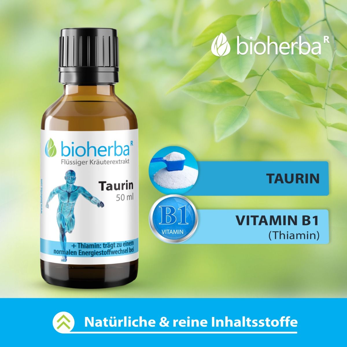 Produktetikett mit Inhaltsstoffen: Taurin und Vitamin B1. Blaue und weiße Grafiken. Hintergrund mit grünen Blättern.