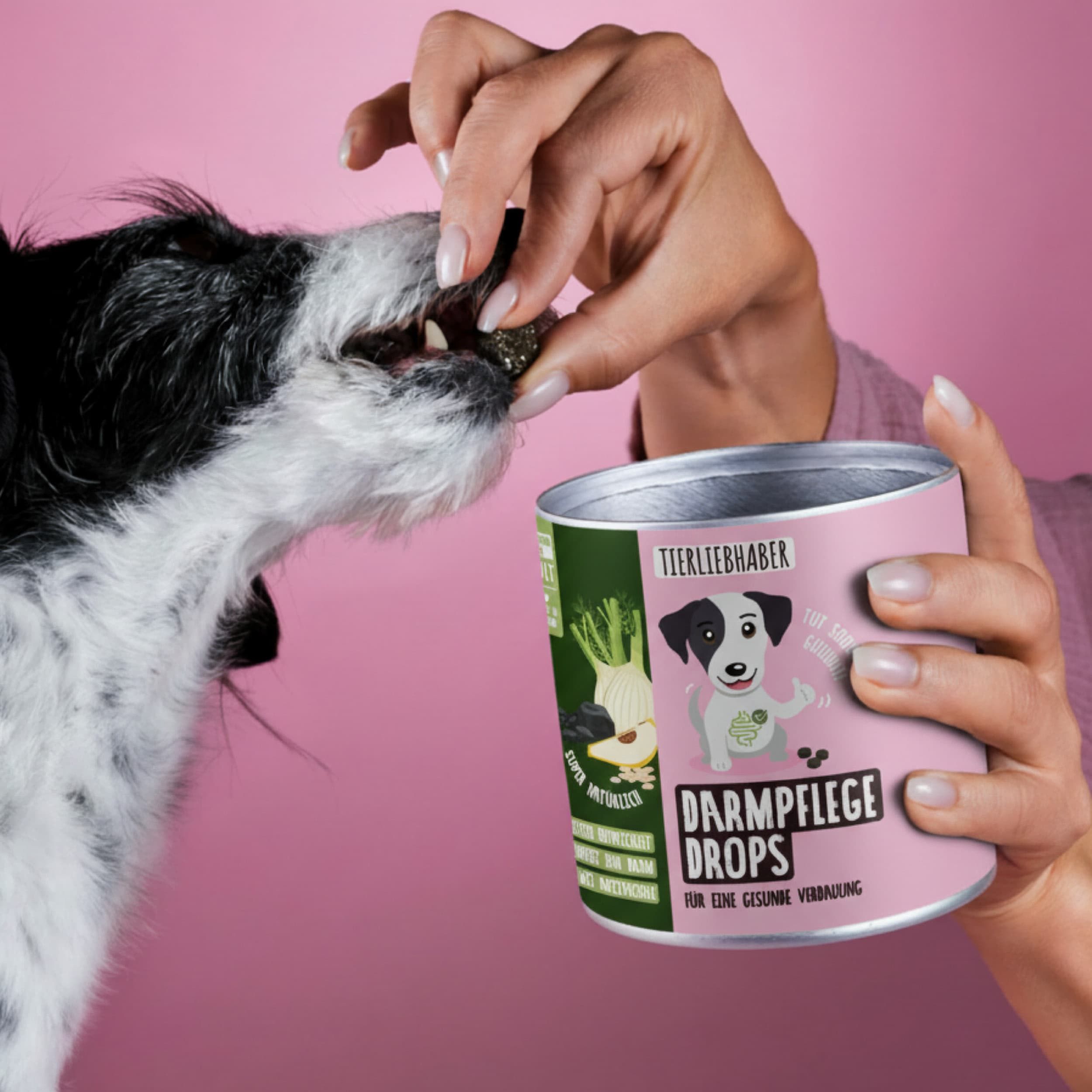 Hand reicht Hund Darmpflege Drops aus Dose. Dose mit Produktname und Logo. Rosa Hintergrund.