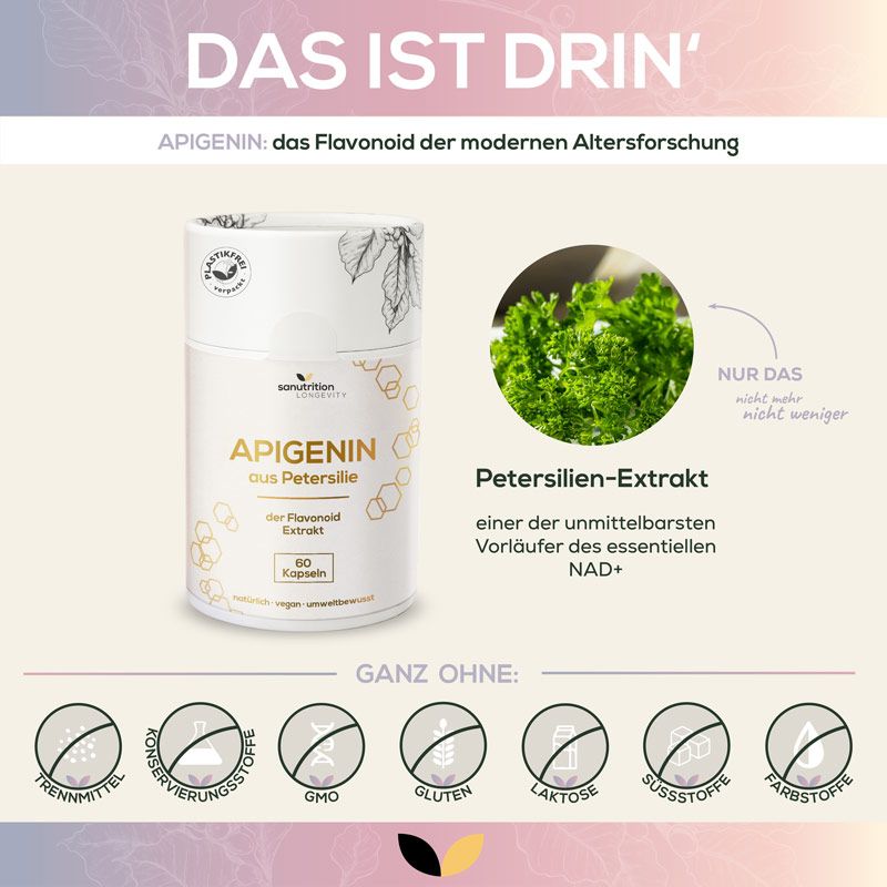 Produktabbildung Sanutrition® Apigenin. Aufschrift: Apigenin aus Petersilie, 60 Kapseln. Zusätzliche Elemente: Petersilien-Extrakt, ohne Zusatzstoffe.