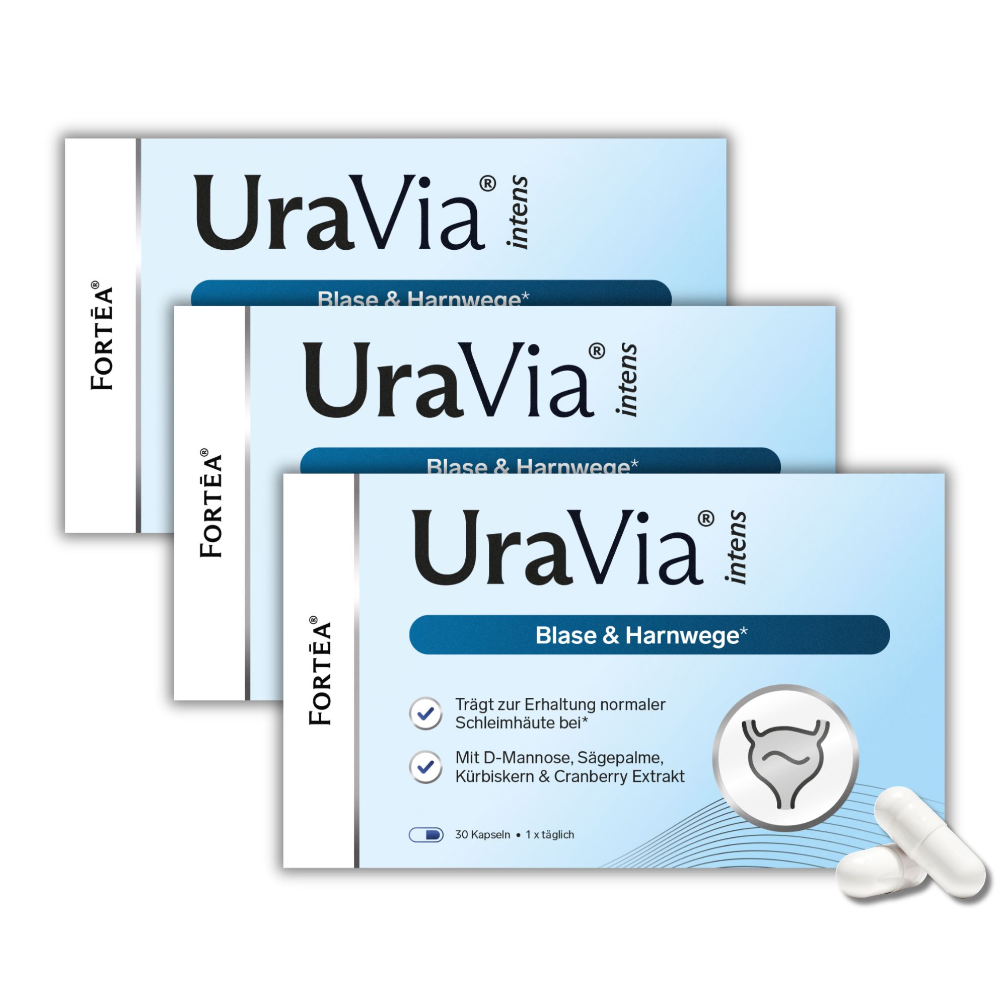 Drei Packungen FORTEA® UraVia® intens Blase & Harnwege mit Kapseln und Blasen-Symbol.