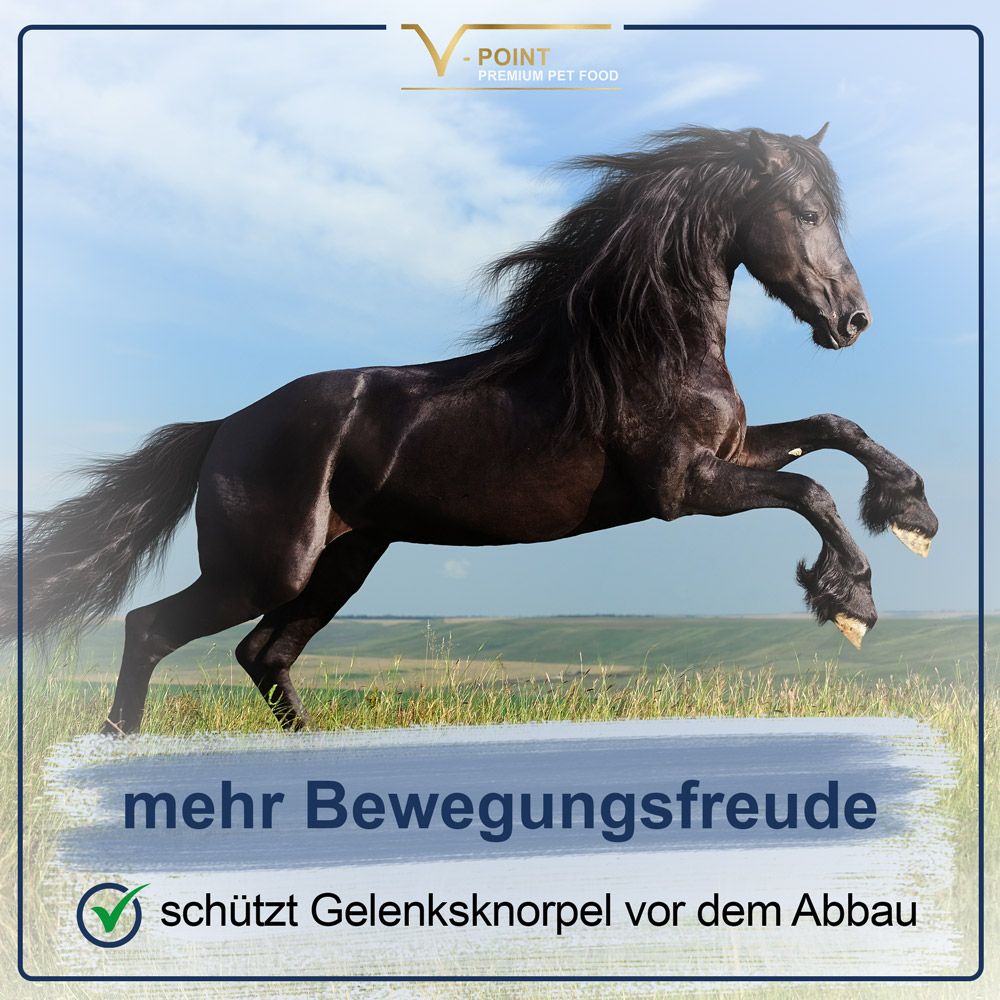 Schwarzes Pferd springt auf einer Wiese. Text: mehr Bewegungsfreude, schützt Gelenkknorpel vor dem Abbau.
