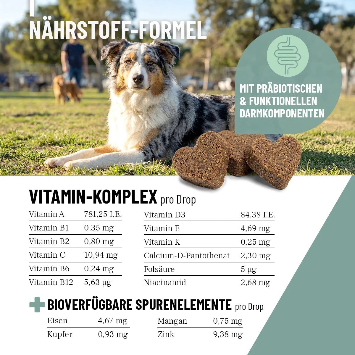 Hund liegt auf einer Wiese. Text: Nährstoff-Formel, Vitamin-Komplex pro Drop, Spurenelemente pro Drop. Herzförmige Leckerlis.