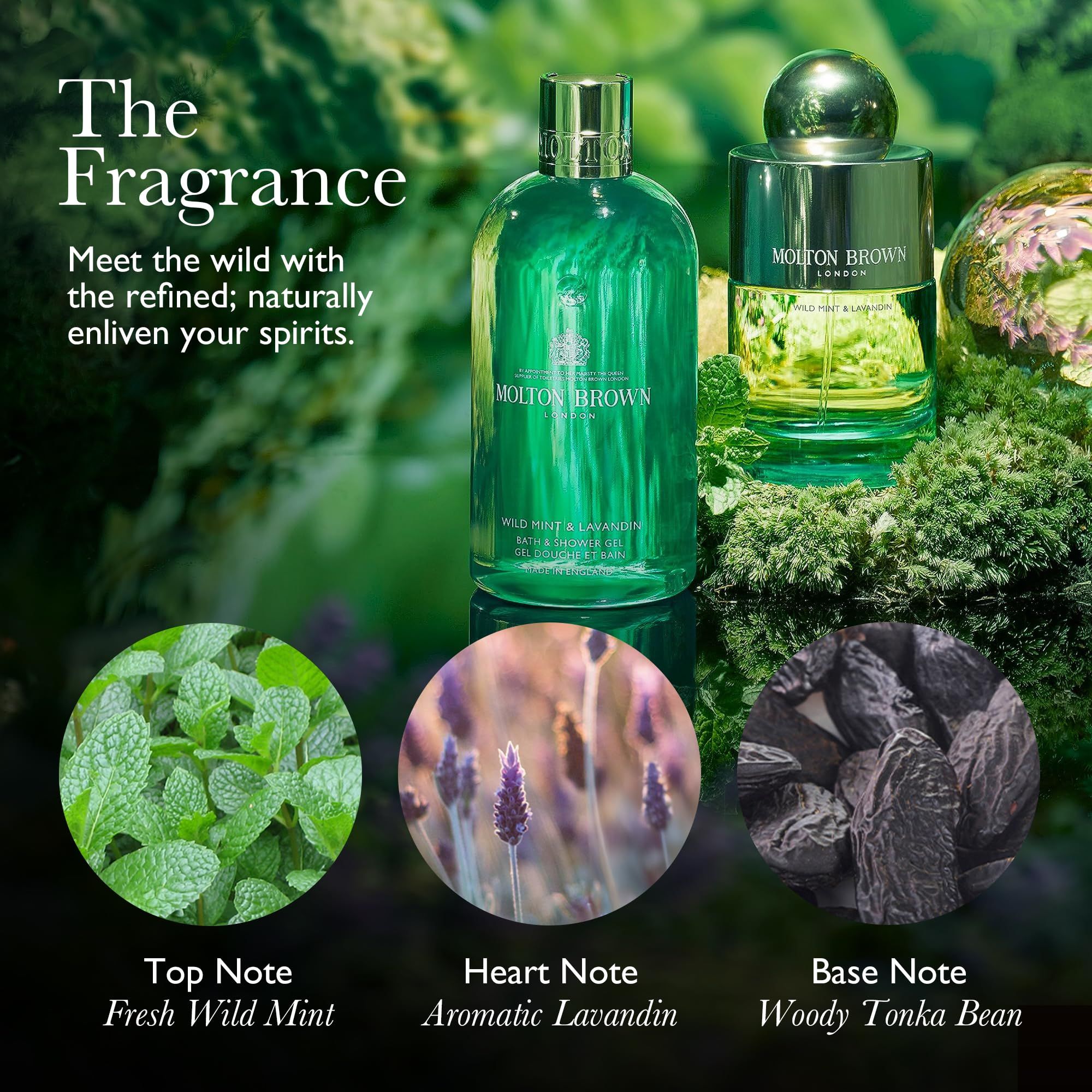 Molton Brown Wild Mint & Lavandin Duftnoten: Frische Minze, aromatischer Lavandin, holzige Tonkabohne.