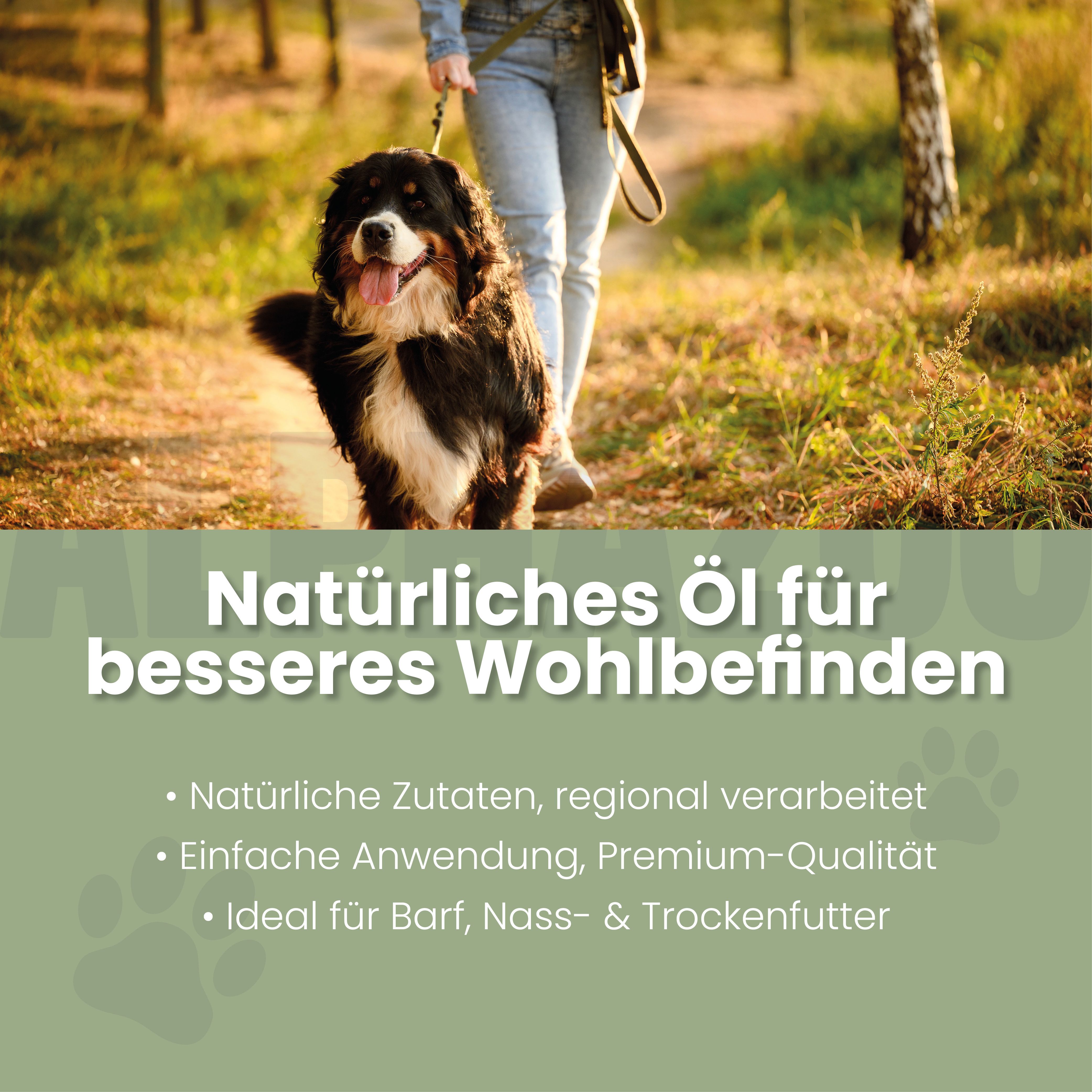 Hund an der Leine auf einem Weg. Text: Natürliches Öl für besseres Wohlbefinden. Natürliche Zutaten, einfache Anwendung, Premium-Qualität.