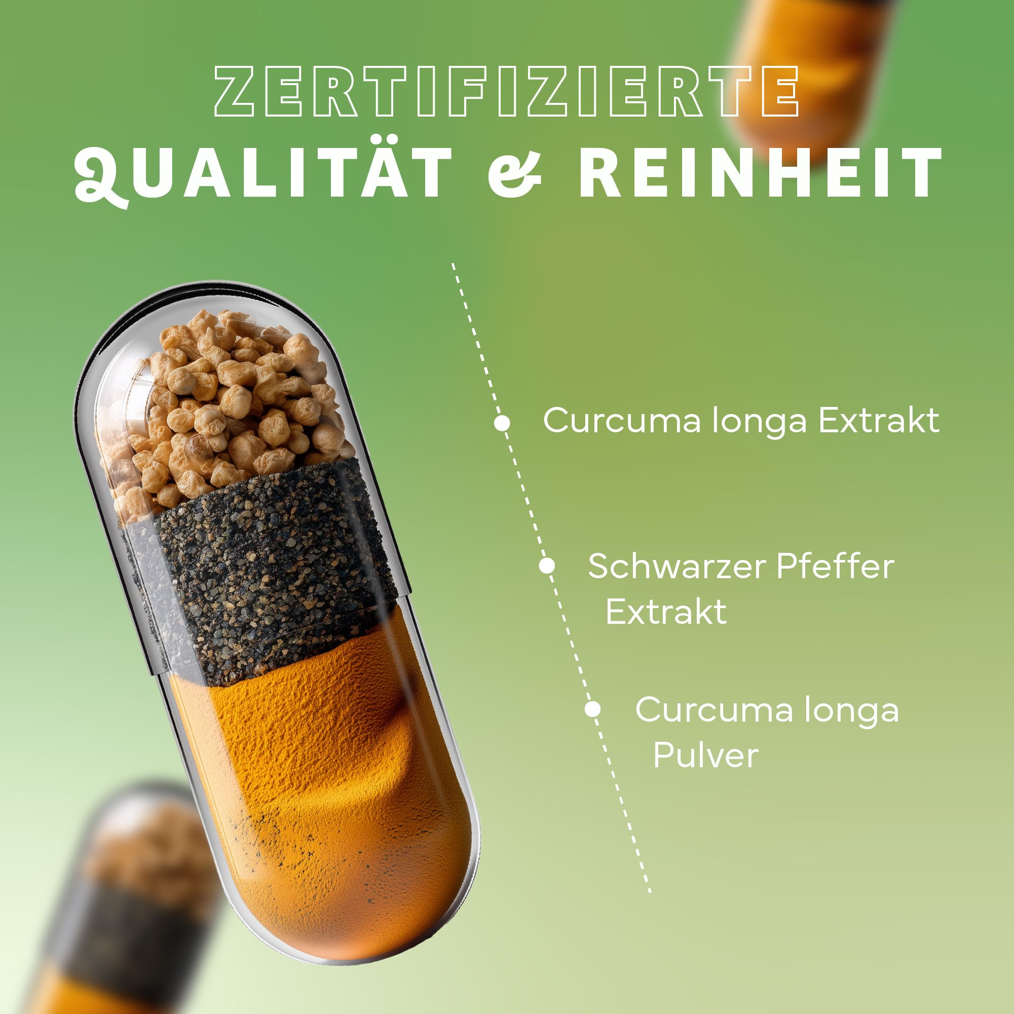 Durchgeschnittene Kapsel mit Inhaltsstoffen: Curcuma longa Extrakt, Schwarzer Pfeffer Extrakt, Curcuma longa Pulver. Grüner Hintergrund.