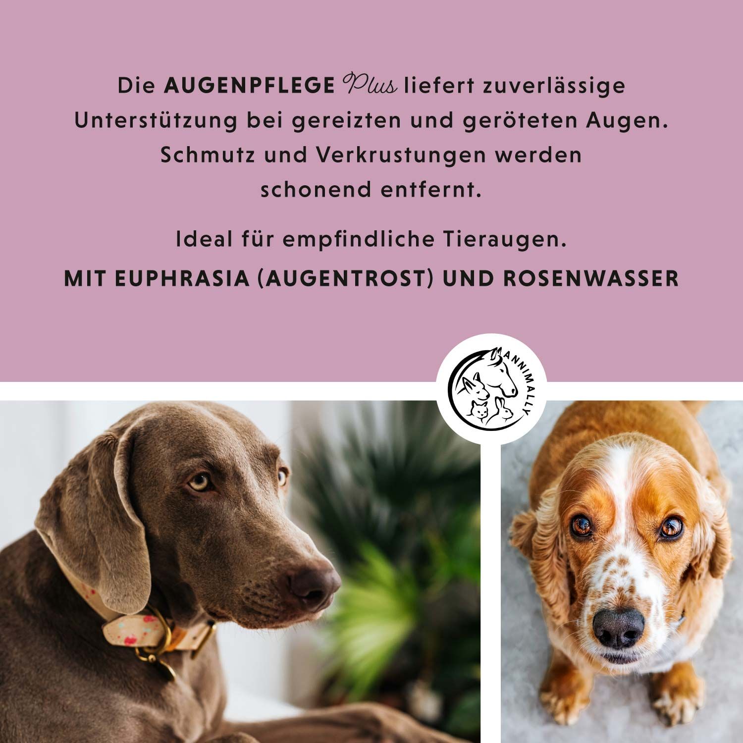 Text auf rosa Hintergrund mit Logo und zwei Hunden. Text beschreibt die Augenpflege Plus mit Euphrasia und Rosenwasser.