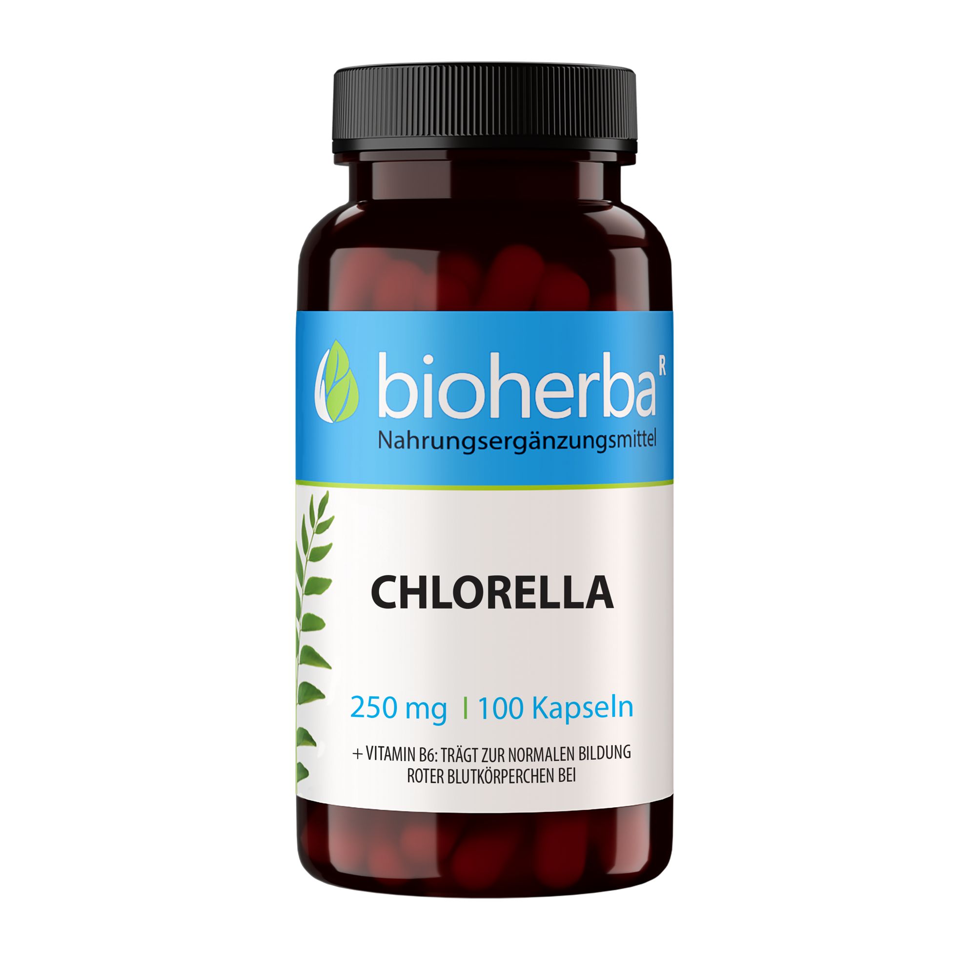 Bioherba Chlorella Kapseln