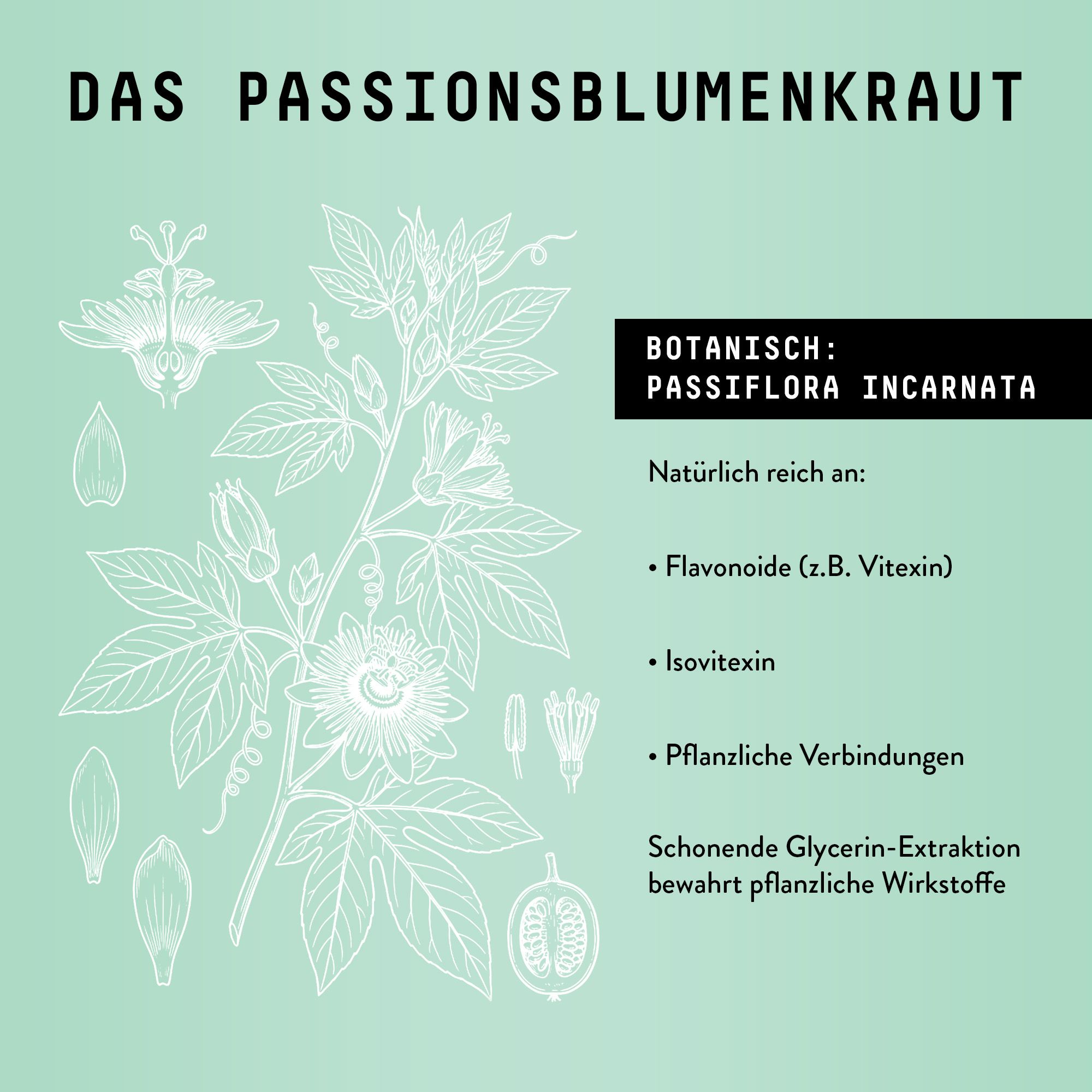 Zeichnung einer Passionsblume und ihrer Bestandteile. Text: Botanisch: Passiflora incarnata. Reich an Flavonoiden.
