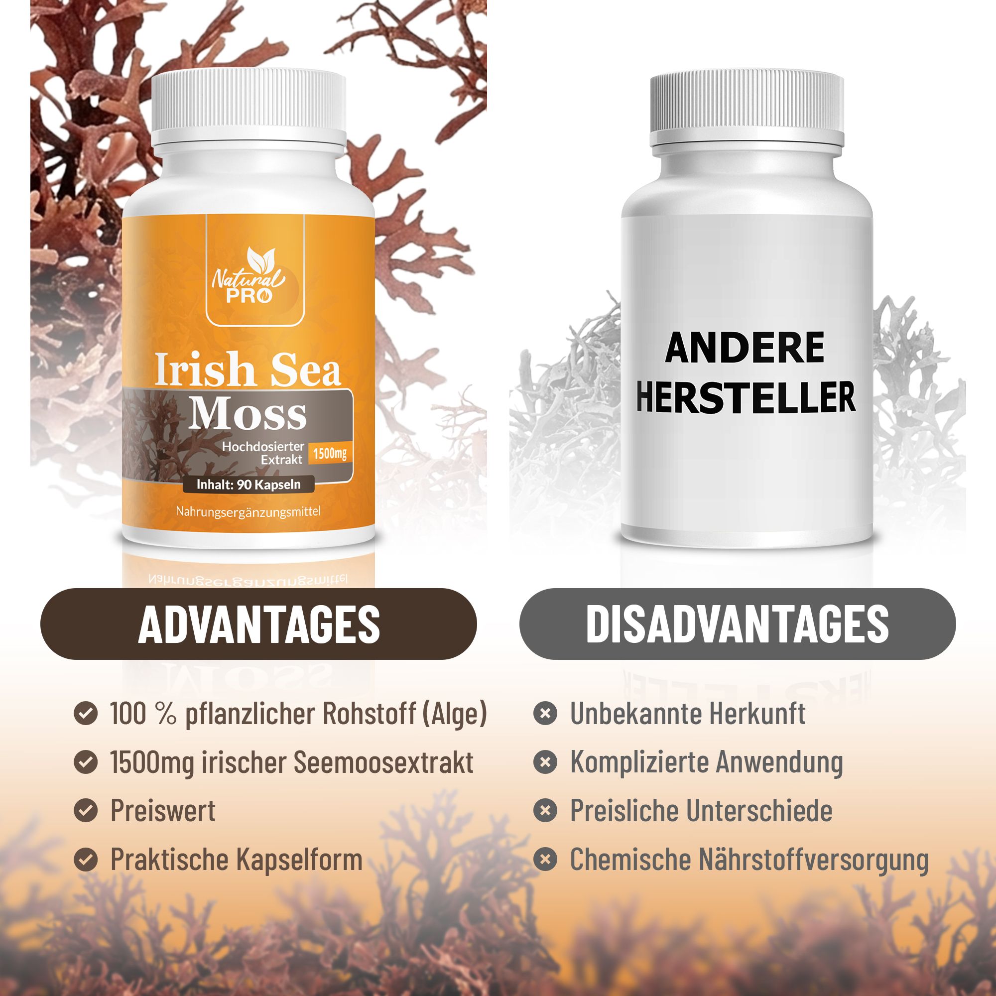 Vergleich: Flasche mit Irish Sea Moss vs. andere Hersteller. Vorteile und Nachteile werden aufgelistet.