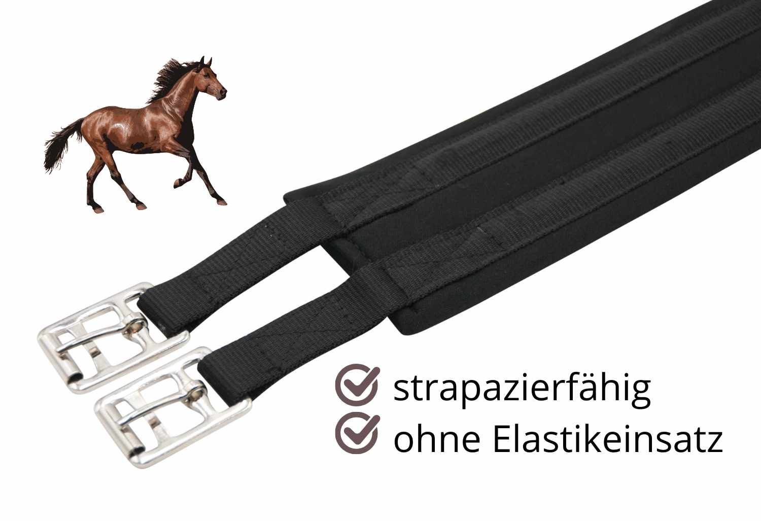 Schwarzer Sattelgurt mit Schnallen. Text: strapazierfähig, ohne Elasteinsatz. Pferd im Hintergrund.