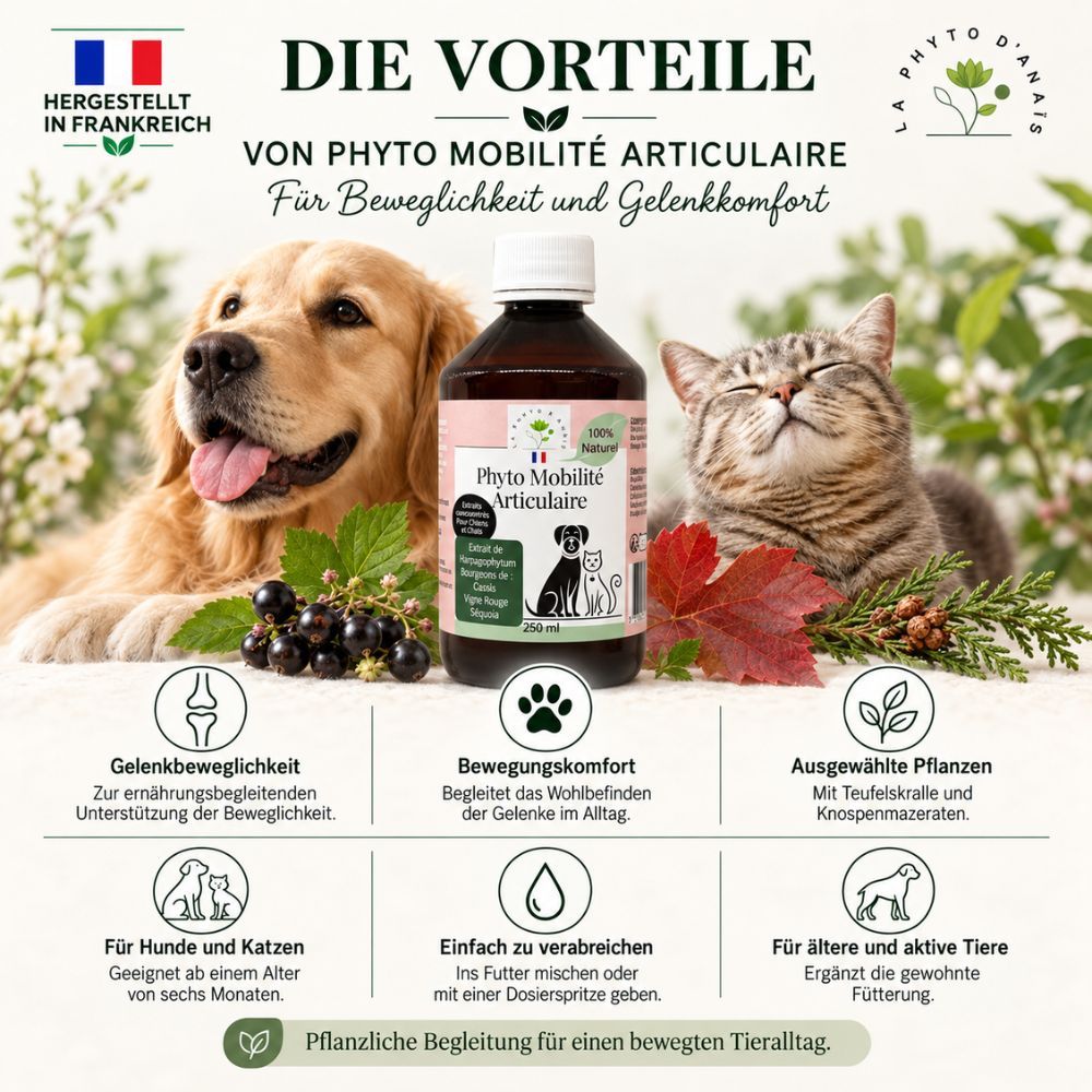 Phyto Mobilité Articulaire Flasche mit 250ml, für Hunde und Katzen, für Beweglichkeit und Gelenkkomfort.