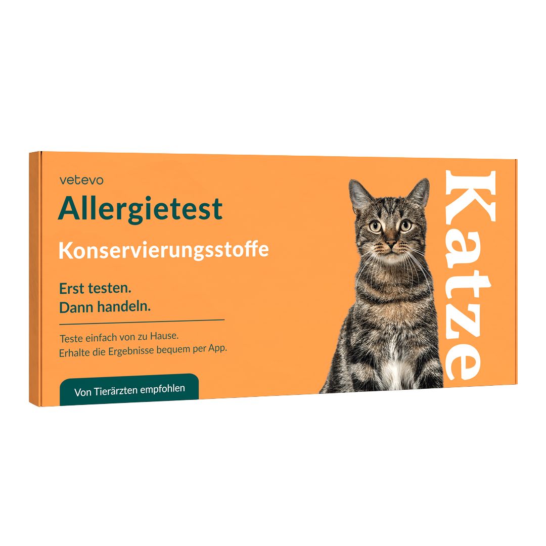 Orangefarbene Produktverpackung mit dem Logo 'vetevo Allergietest Konservierungsstoffe Katze'. Enthält ein Katzenbild und Text.
