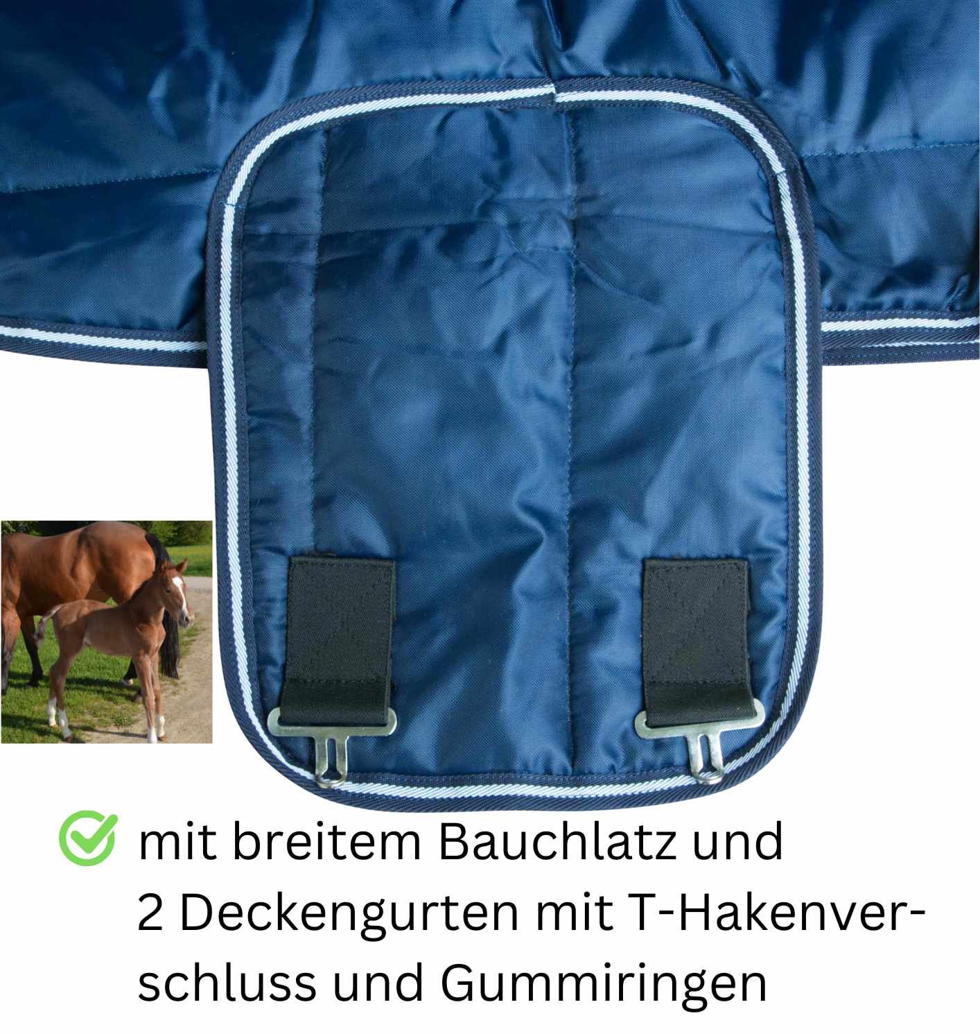 Detail der AMKA Fohlendecke LERUM. Breiter Bauchlatz, zwei Gurte mit T-Haken und Gummiringen.