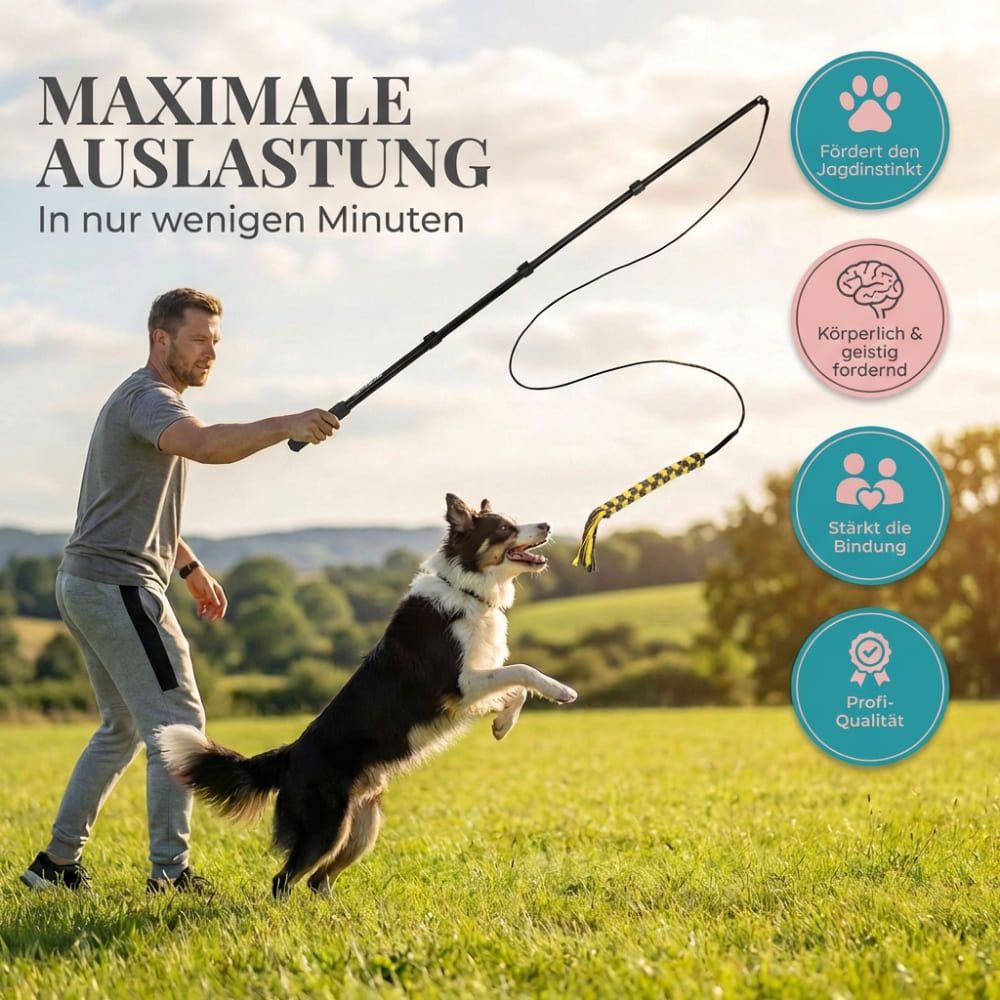 Mann spielt mit Hund auf Wiese. Hund springt nach Reizangel. Text: Maximale Auslastung in nur wenigen Minuten.