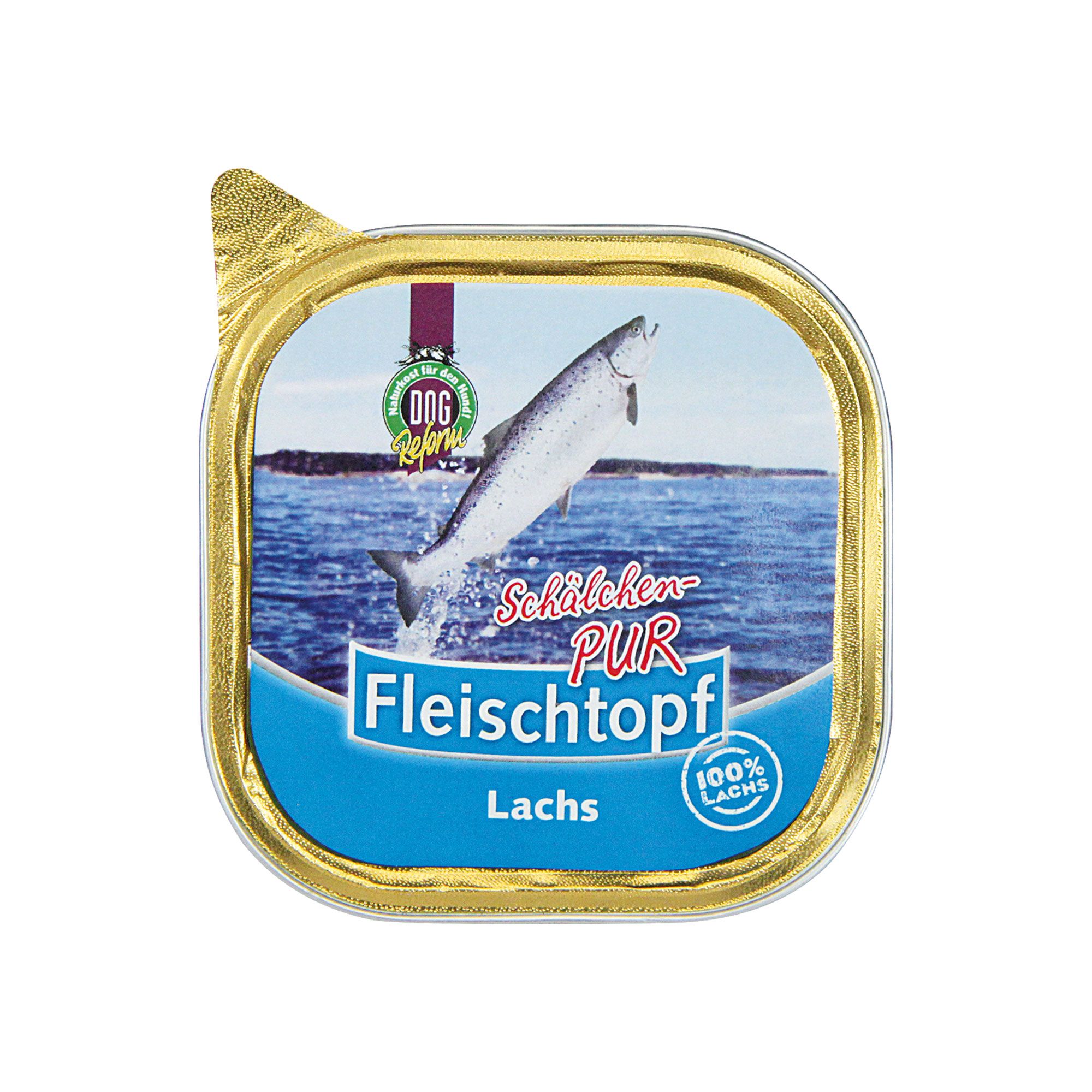 Hundefutter-Schälchen mit Lachs. Aufschrift: Fleischtopf, Lachs, 100% Lachs. Goldfarbener Rand.