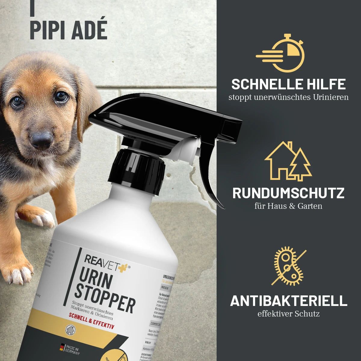Sprühflasche mit schwarzem Sprühkopf neben einem Welpen. Text: Urin Stopper, Schnell & Effektiv. Grafiken: Schnelle Hilfe, Rundumschutz, Antibakteriell.