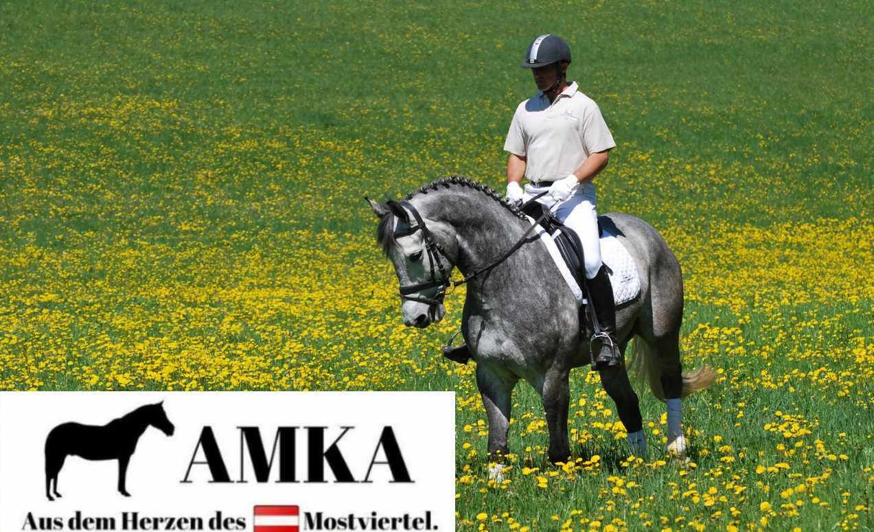 Reiter auf Pferd in Wiese. Logo AMKA. Text: Aus dem Herzen des Mostviertels.