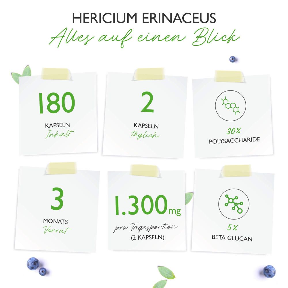 Infografik mit Notizzetteln. Angaben zu Kapseln, Tagesdosis, Polysacchariden und Beta-Glucan.