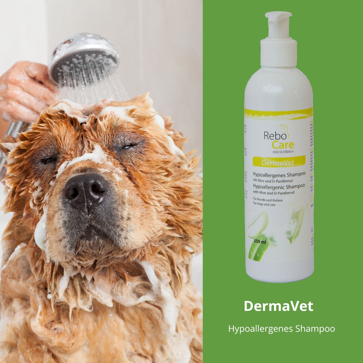 DermaVet hypoallergenes Shampoo