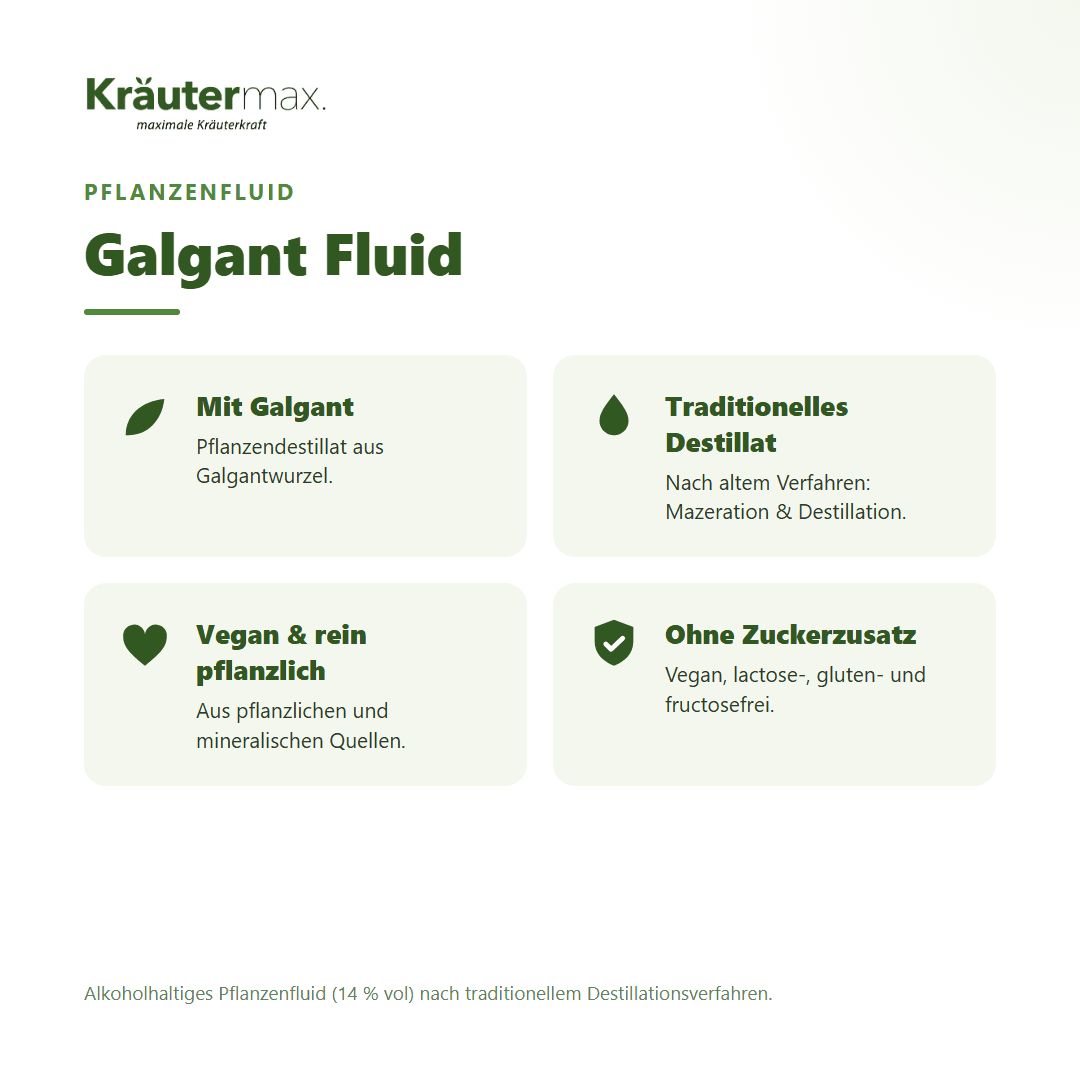 Übersicht der Kräutermax Galgant Fluid Inhaltsstoffe: Mit Galgant, traditionelles Destillat, vegan, ohne Zuckerzusatz.