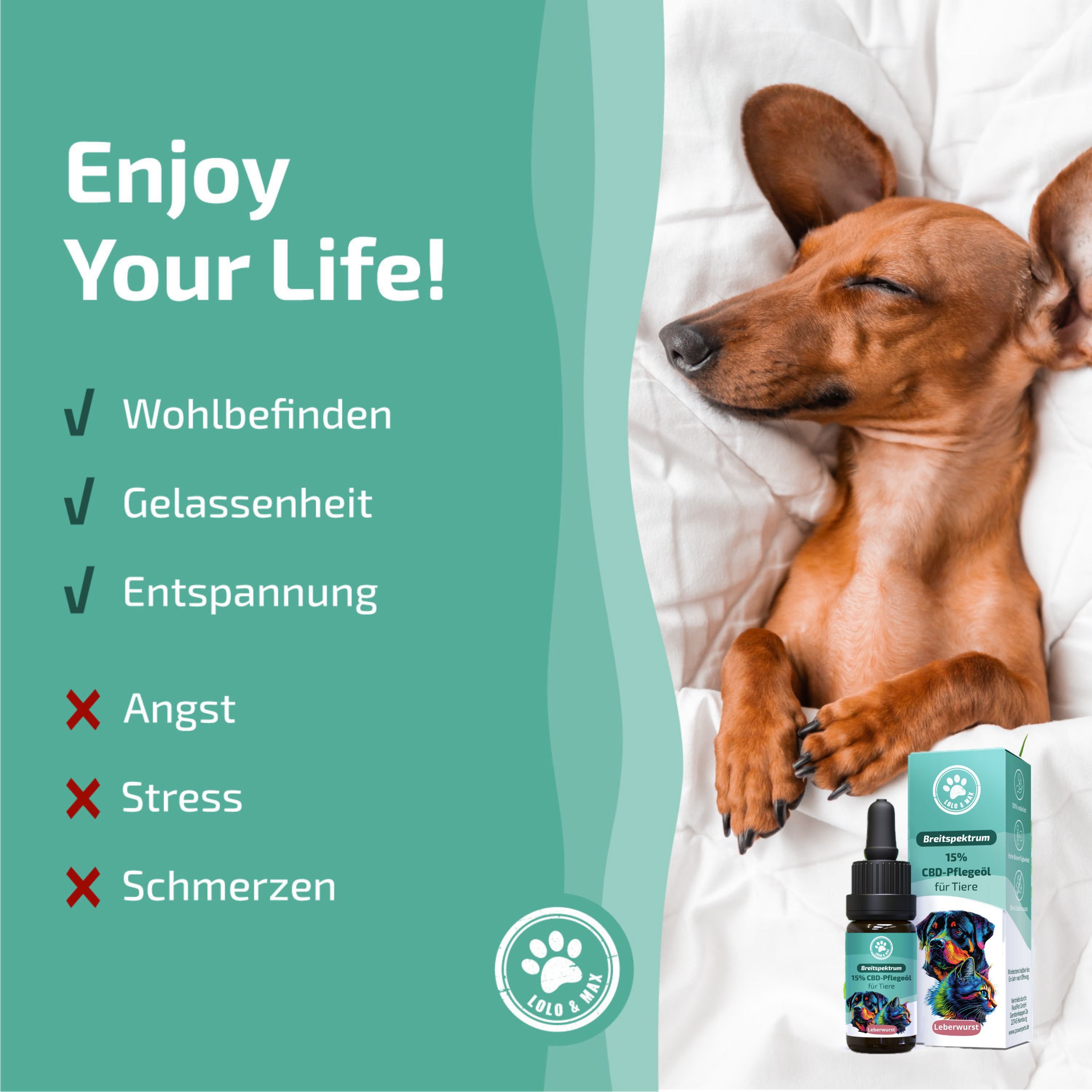 Dackel liegt im Bett. Text: Enjoy Your Life! Wohlbefinden, Gelassenheit, Entspannung. Keine Angst, Stress, Schmerzen.