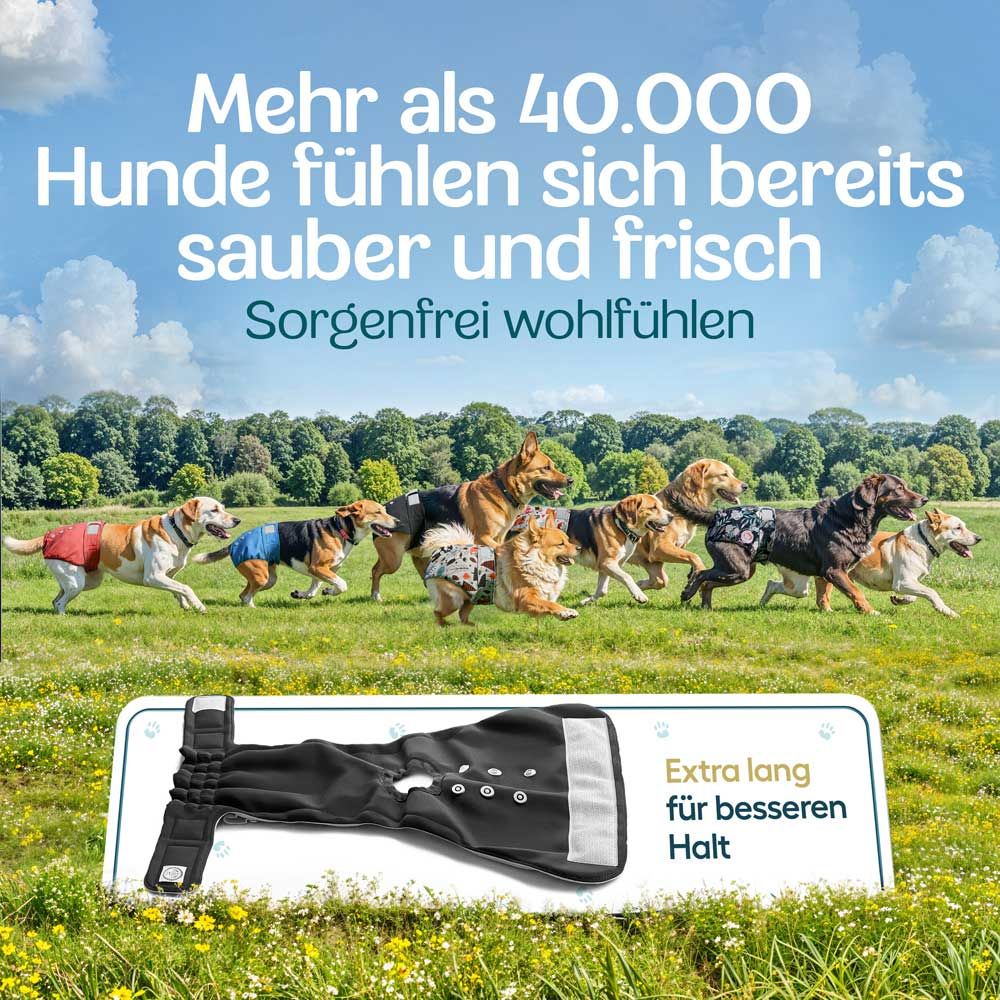 Mehrere Hunde auf einer Wiese, tragen Windeln. Text: Extra lang für besseren Halt. Schwarze Windel.