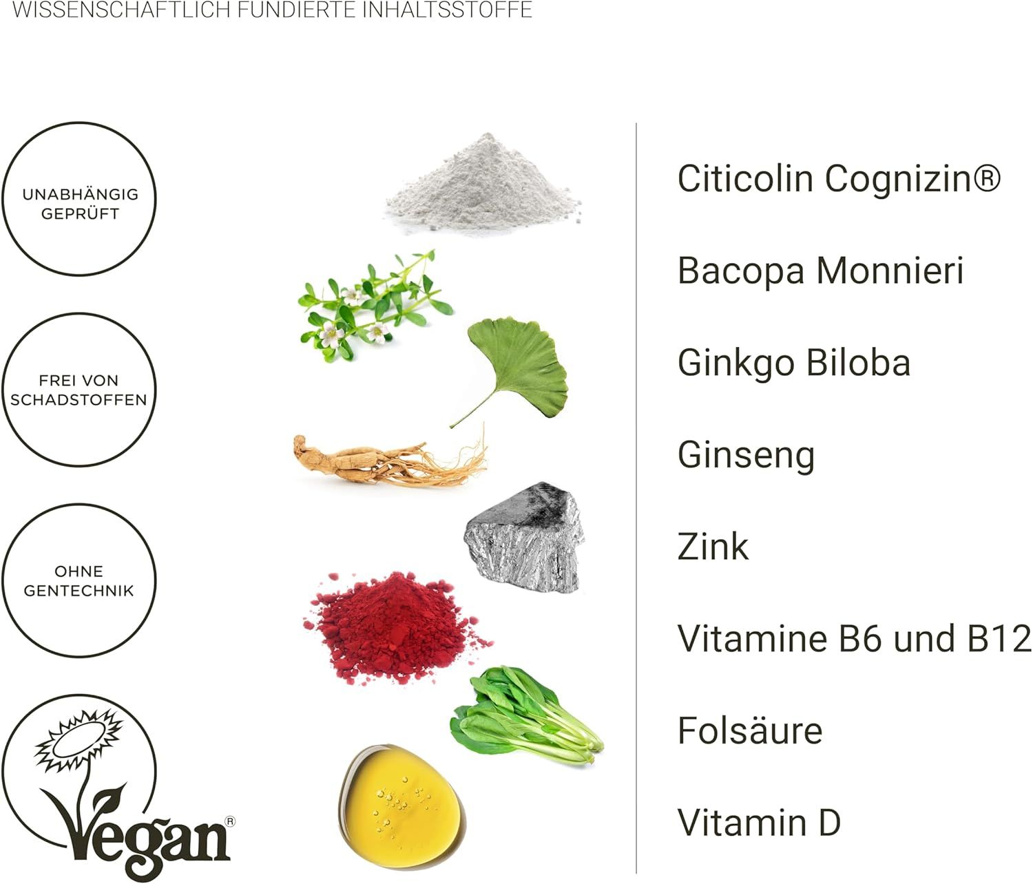 Verschiedene Zutaten auf weißem Hintergrund. Citicolin Cognizin, Bacopa Monnieri, Ginkgo Biloba, Ginseng, Zink, Vitamine B6 und B12, Folsäure, Vitamin D. Vegan-Siegel.