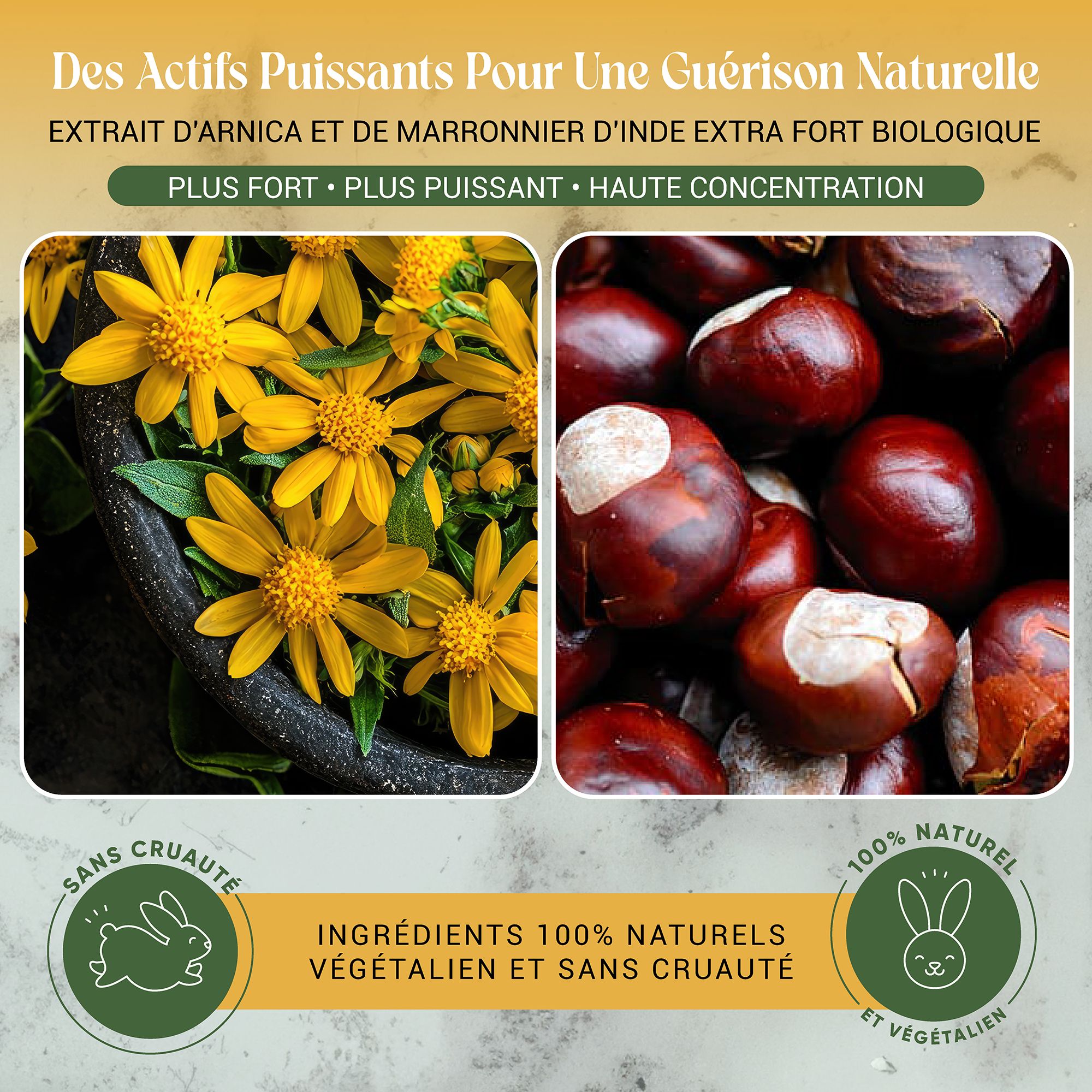 Zwei Bilder: gelbe Blumen und Kastanien. Text: Extra starkes Arnika- und Rosskastanienextrakt. Logos: Vegan, 100% natürlich.