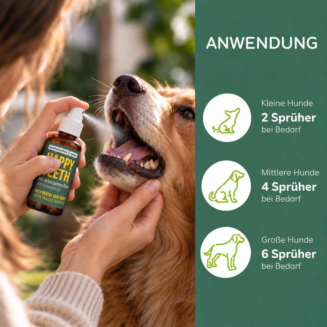 Anwendung von Wolfsbacher Natur Happy Teeth Spray bei Hunden unterschiedlicher Größe.