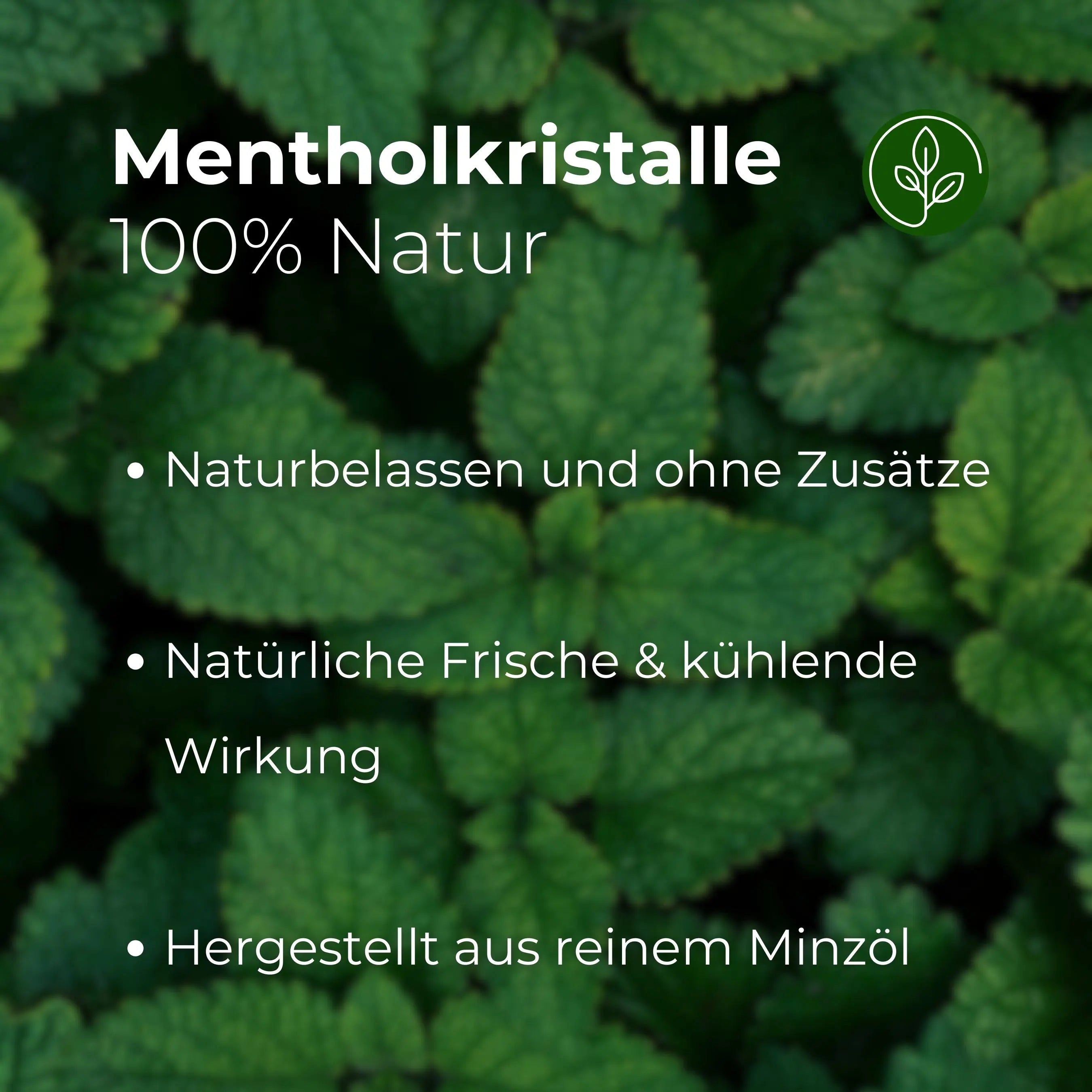 Nahaufnahme von grünen Blättern. Text: Mentholkristalle, 100% Natur. Naturrein und ohne Zusätze. Natürliche Frische & kühlende Wirkung.