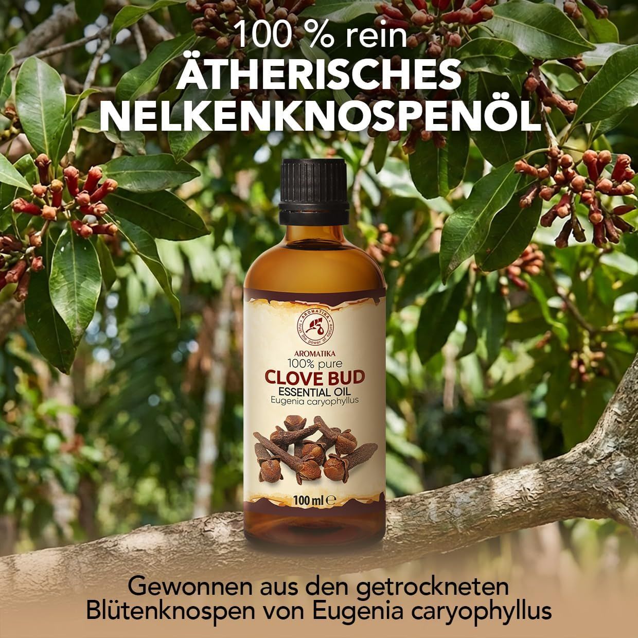 Flasche 100% reines ätherisches Nelkenknospenöl von Eugenia caryophyllus.