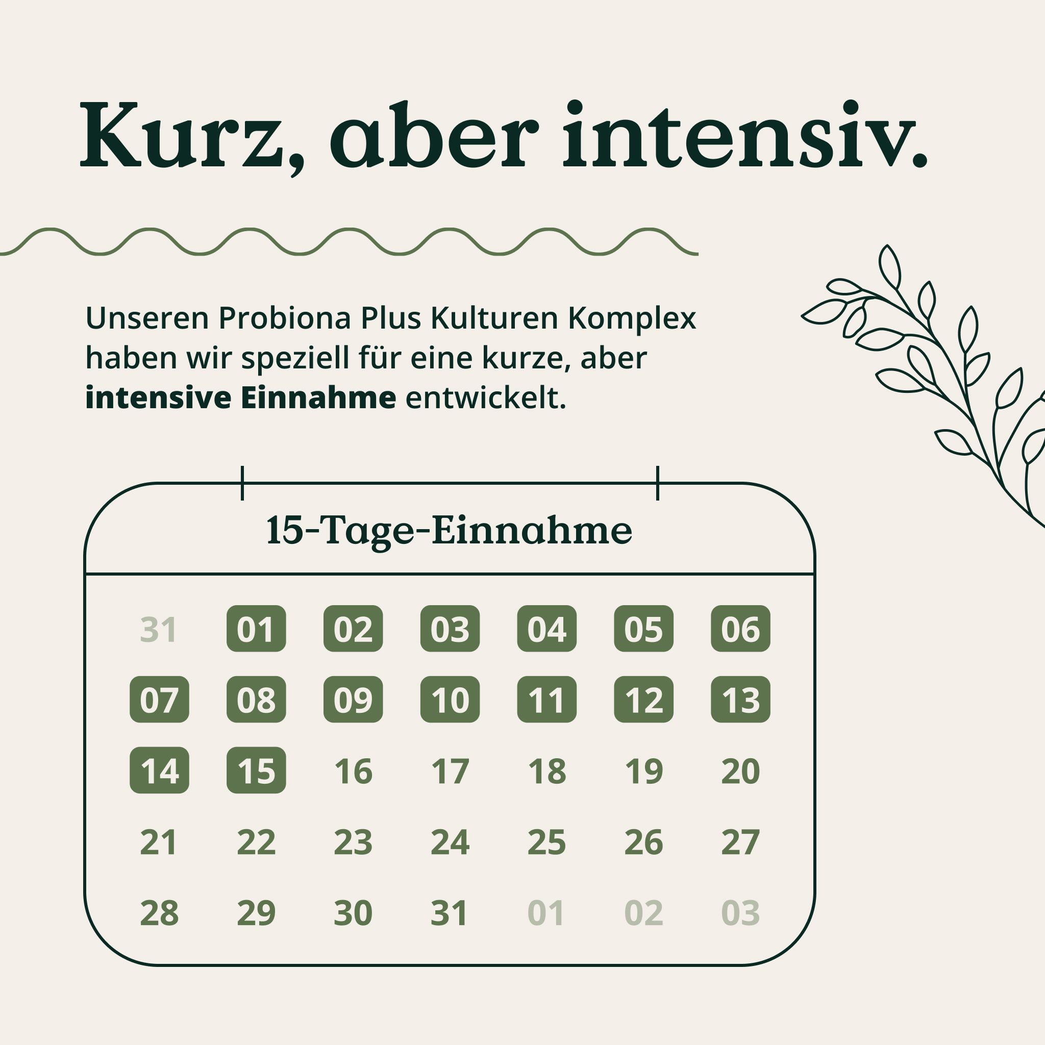 Grafik mit Text: Kurz, aber intensiv. 15-Tage-Einnahme-Kalender. Text: Probiona Plus Kulturen Komplex für kurze, intensive Einnahme.
